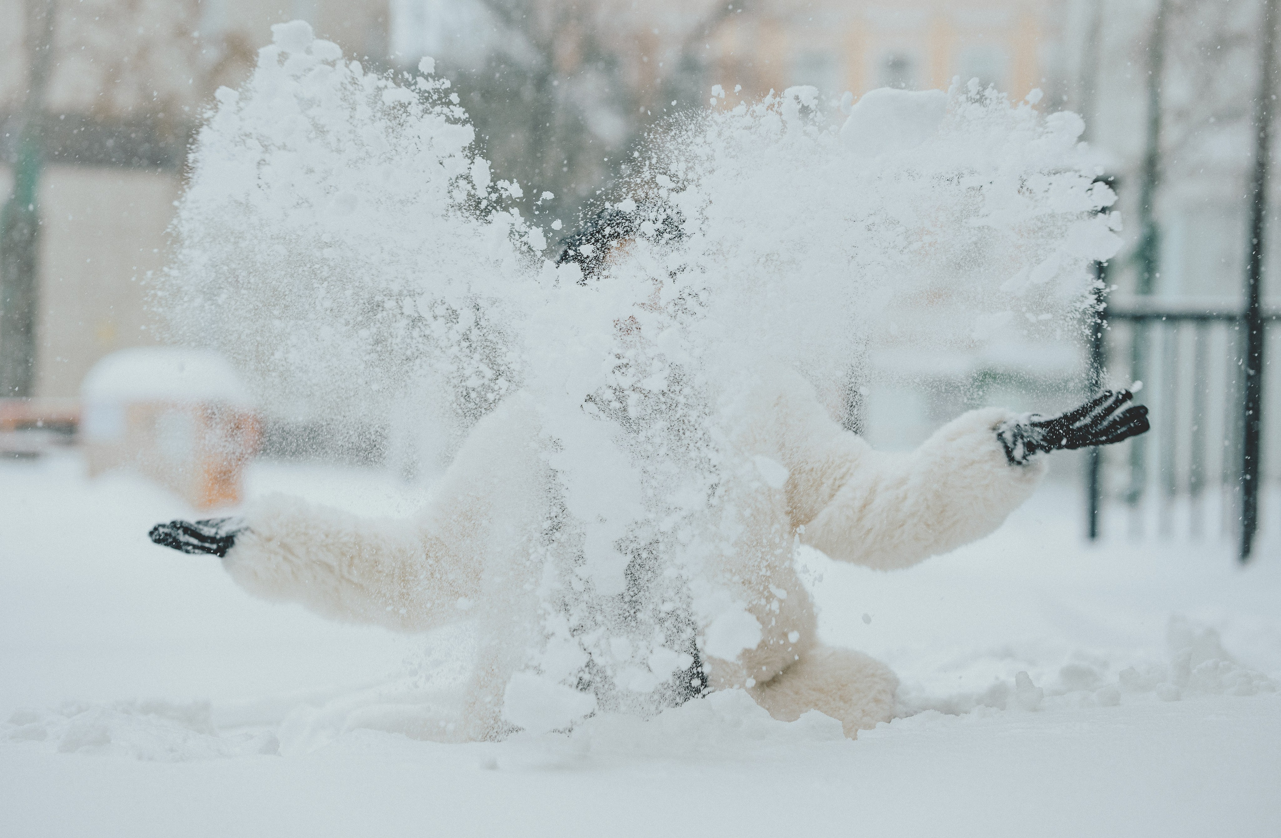 Света. Портретный фотограф в Москве Колосова Екатерина