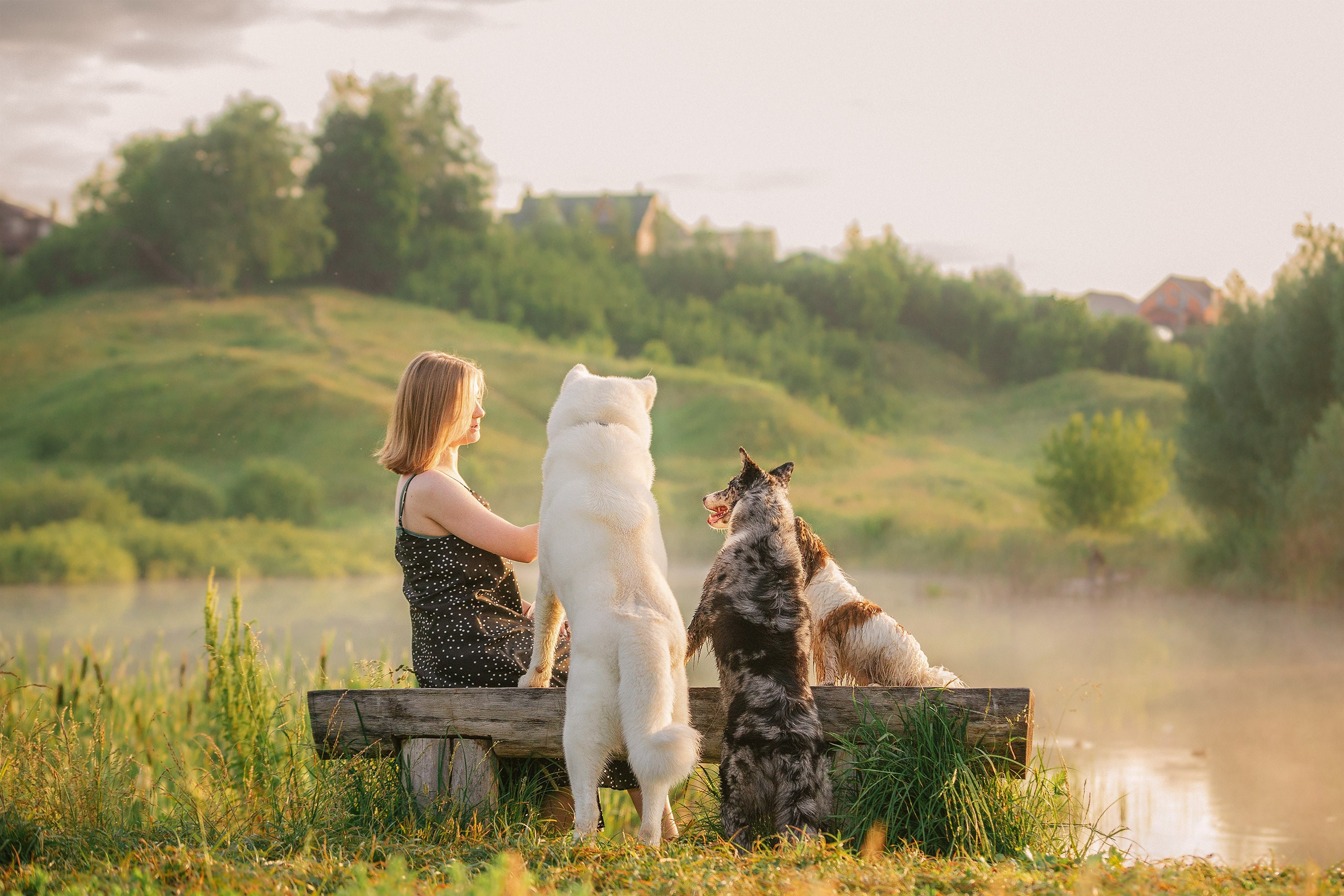 Таня и команда на рассвете. Фотограф анималист Кузнецова Анна Нижний Новгород