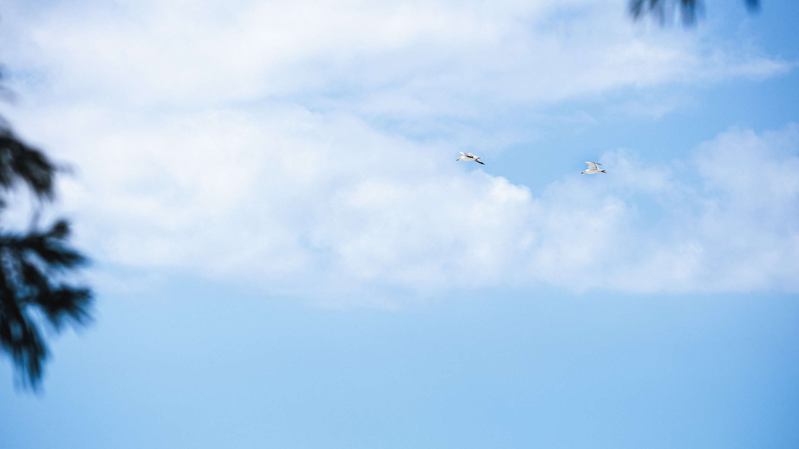 Сток. Сайт о фотографии, Москва