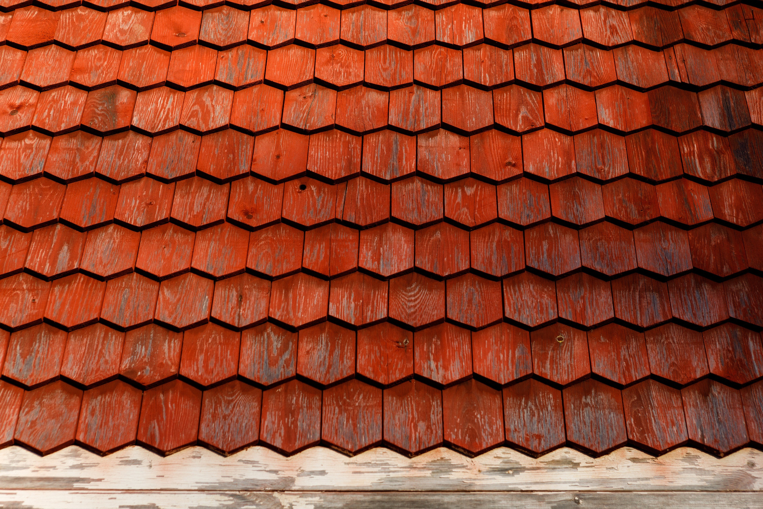 Photos for the Ladoga Skerries National Park. Commercial photographer | Anton Ermakov