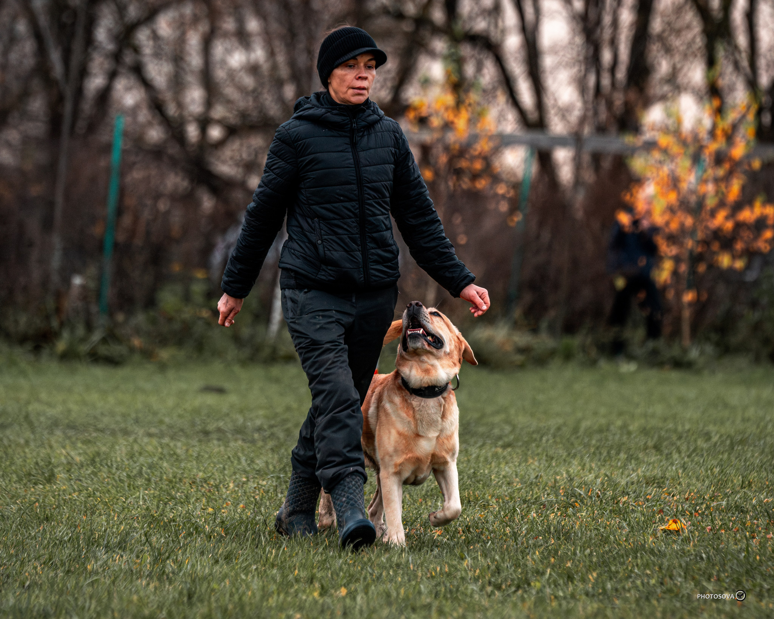МЫ — КОМАНДА (соревнования) OKD, BH, IBGH, IGP. Фотограф-анималист, семейный фотограф в Москве и Подмосковье. Фотосъёмка кинологических дисциплин