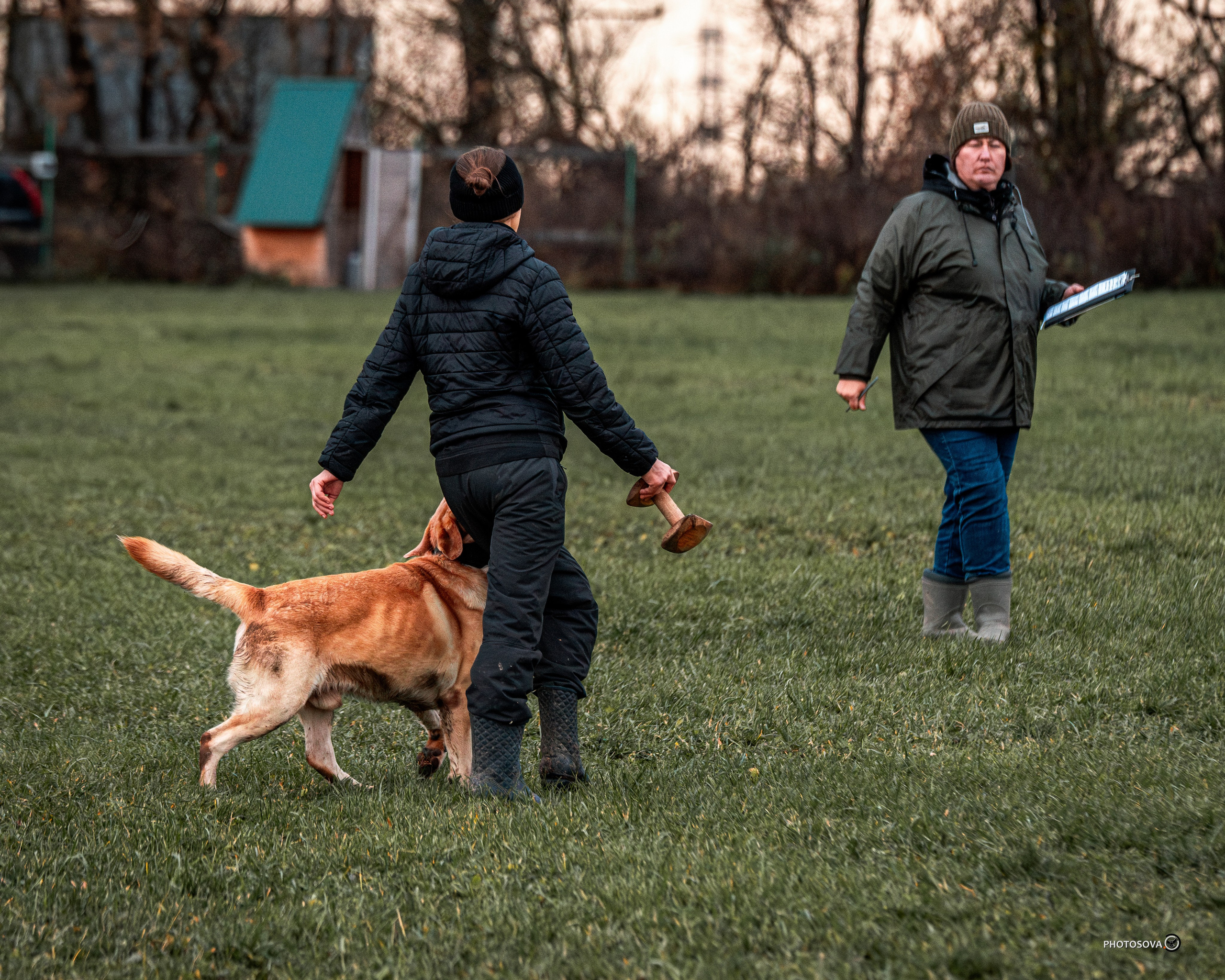 МЫ — КОМАНДА (соревнования) OKD, BH, IBGH, IGP. Фотограф-анималист, семейный фотограф в Москве и Подмосковье. Фотосъёмка кинологических дисциплин