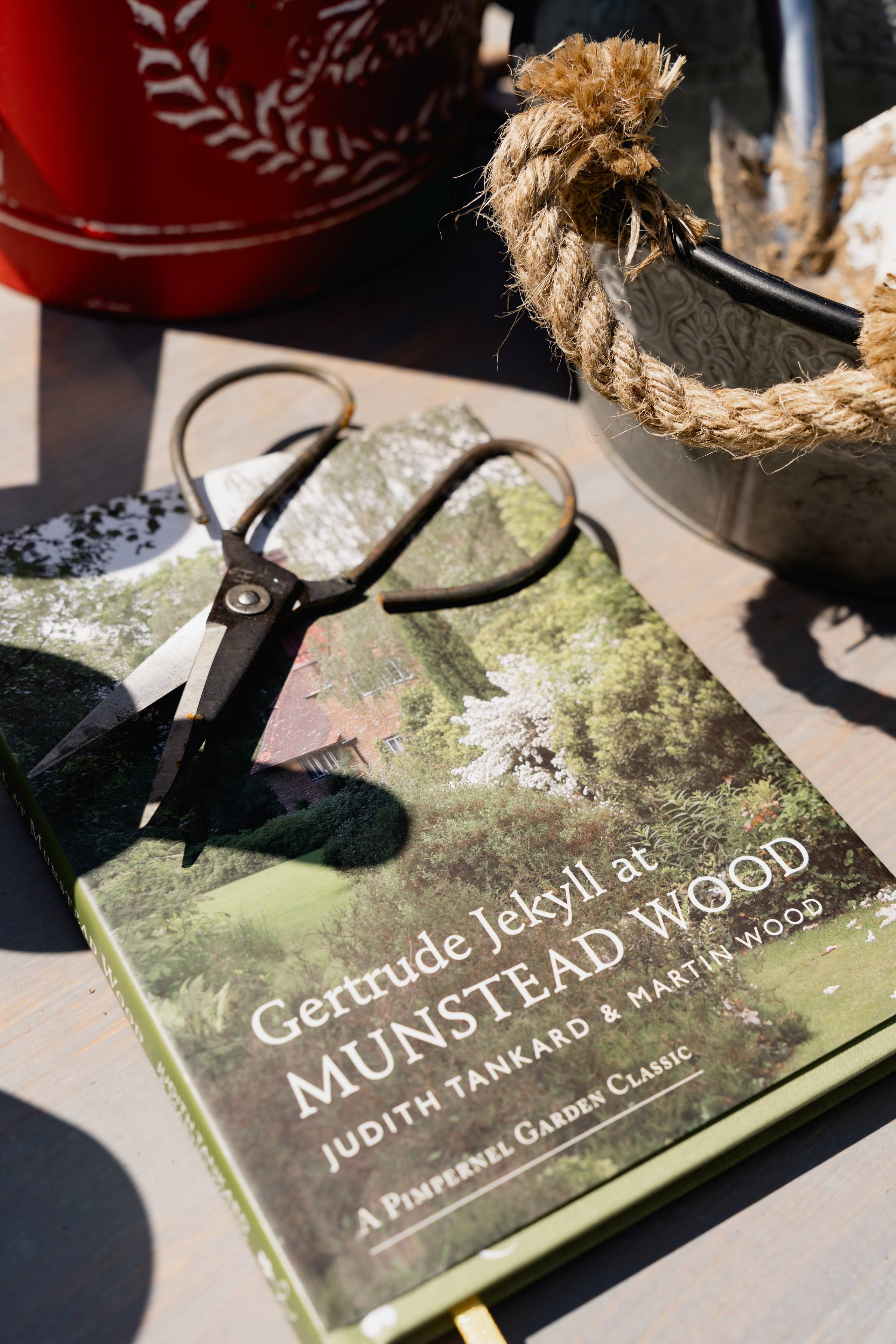 Семейный питомник. Виктория Саханкова — портретный и семейный фотограф в Москве