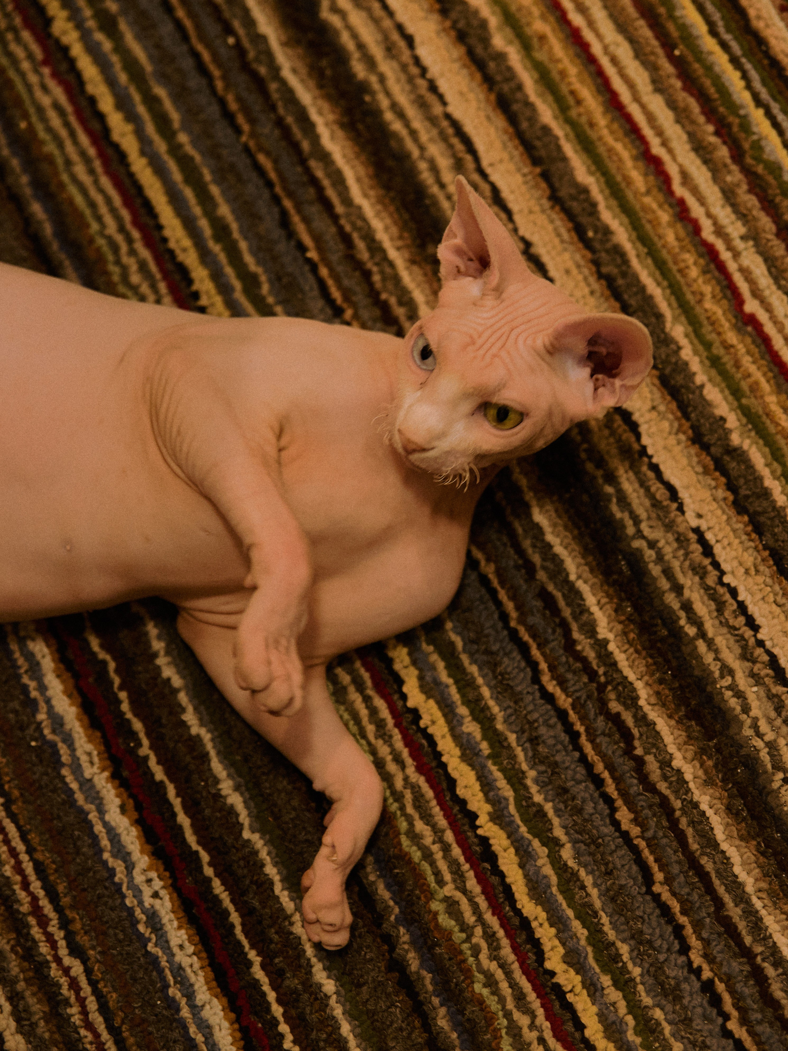 Диптих. Jorgis — фотограф в Хургаде / обучение фотографии