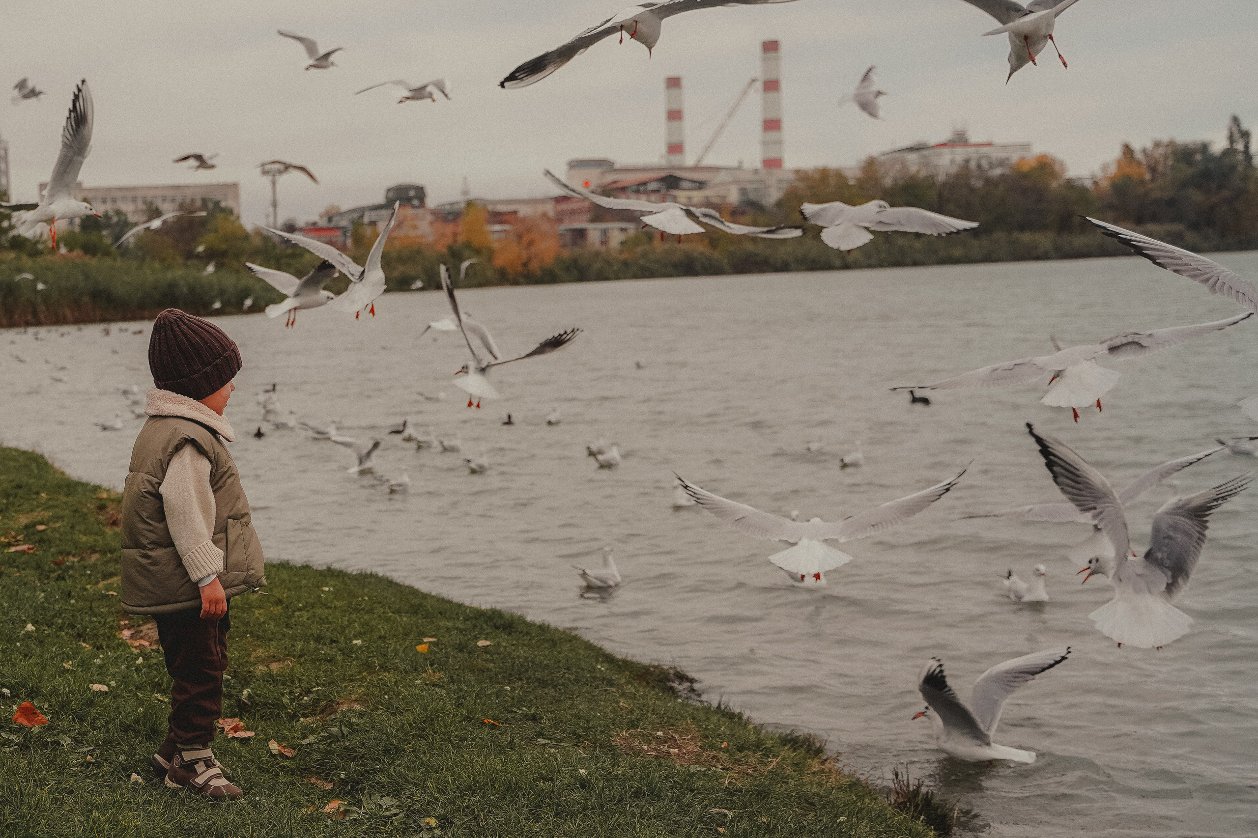Осенняя фотосессия в парке Солнечный остров. Семейный и женский фотограф в Краснодаре Анастасия Приймак