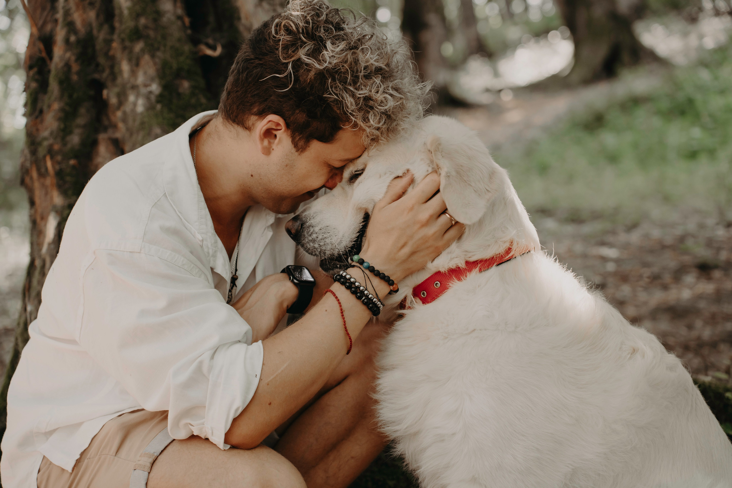 Прогулка в лесу. Фотограф Ирина Ликсунова