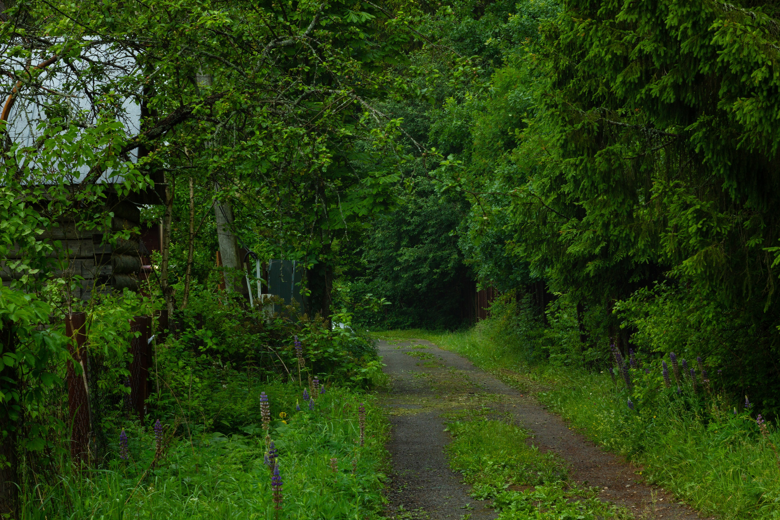 Dacha vibes. Папка кадров 📁