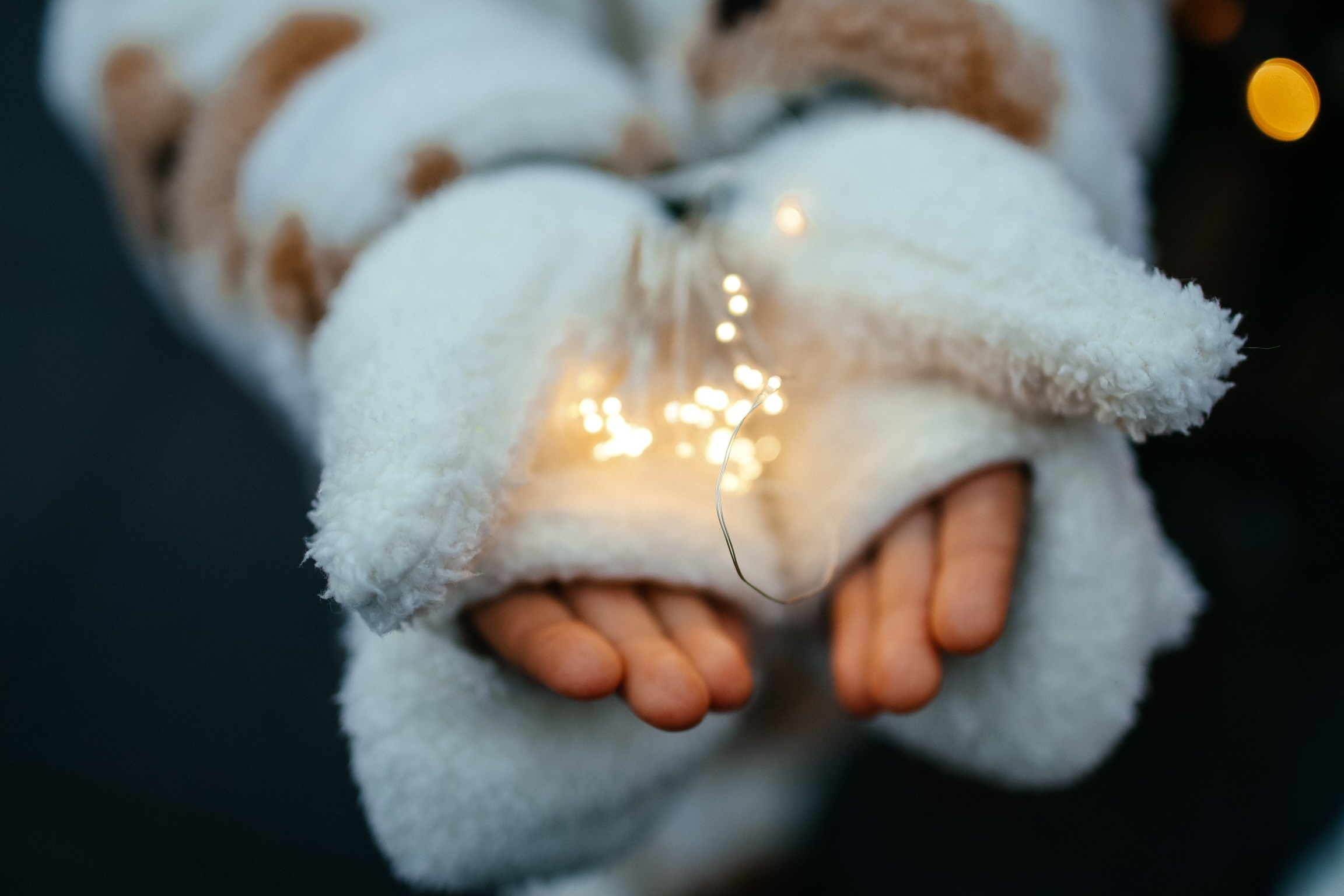 Новогодняя. Твой снимок СПб