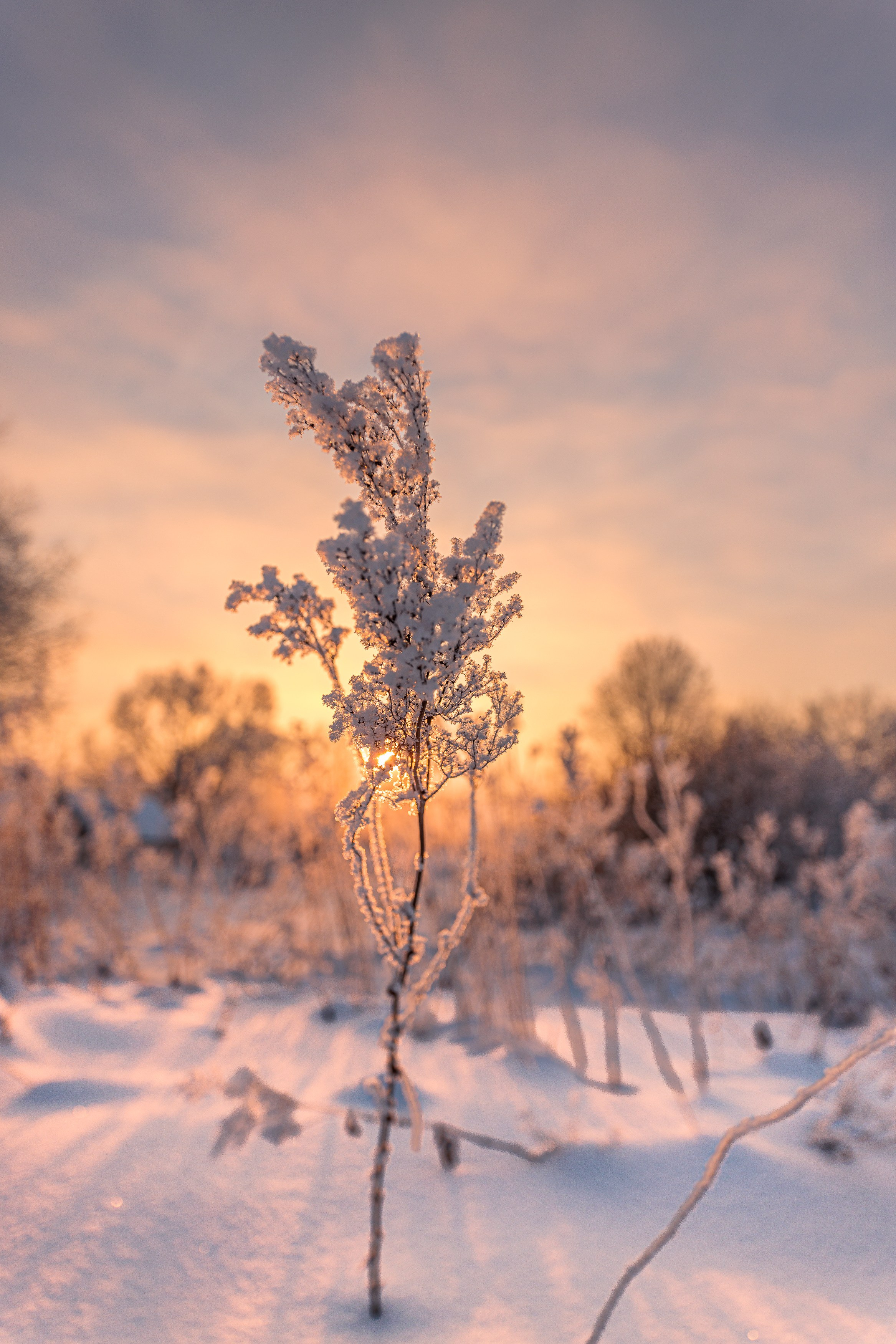Пейзаж (вич рн) Закат. Владимир Петухов — фотограф в г. Кинешма. Оператор FPV