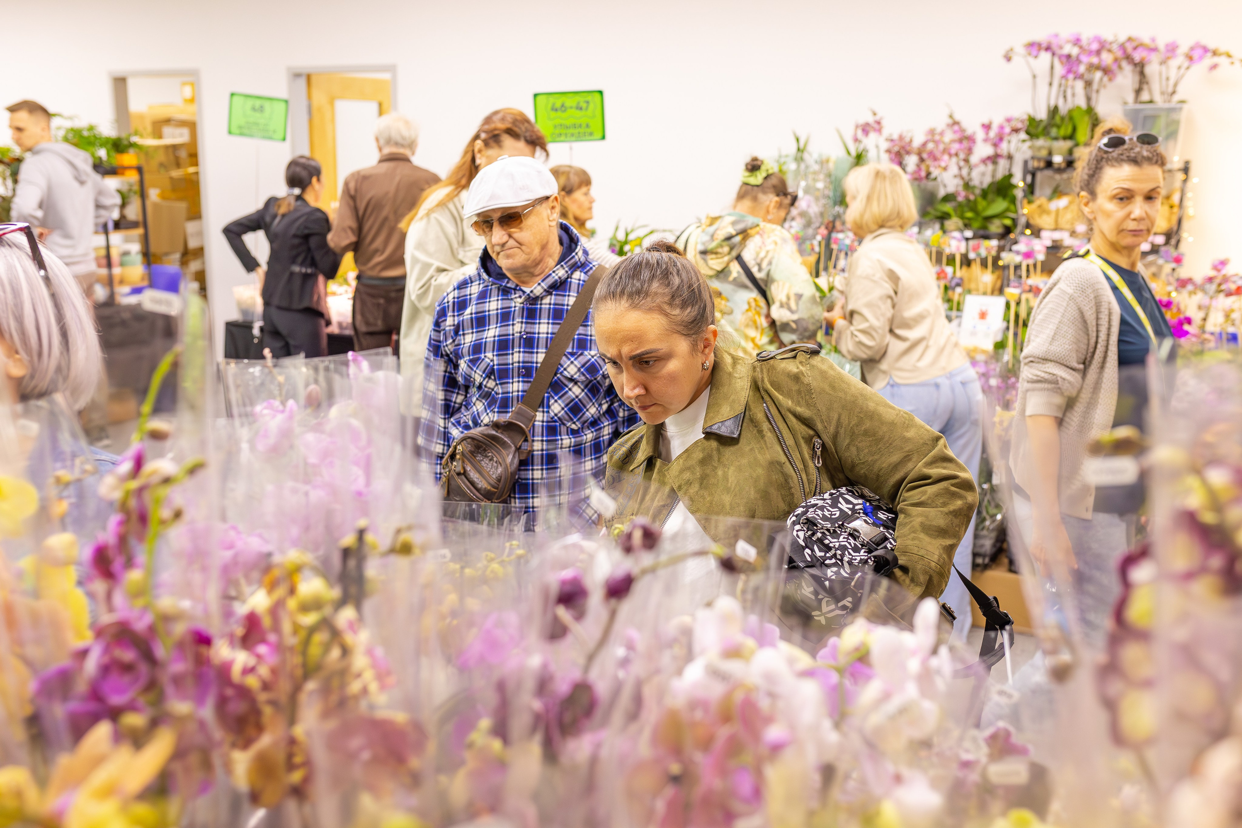 Орхидиум сентябрь 2025. Александра Куликова фотограф, Москва