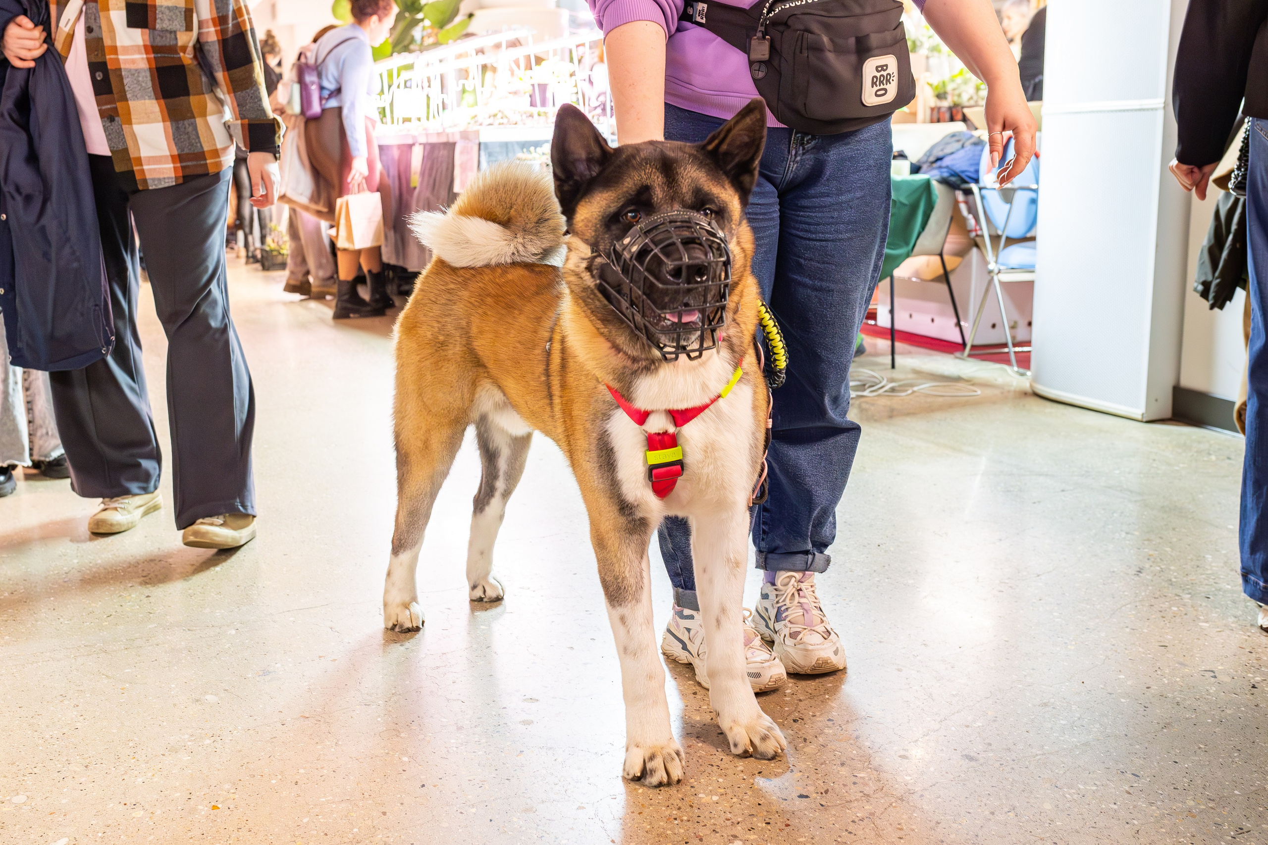 Growbox декабрь 2025. Александра Куликова фотограф, Москва
