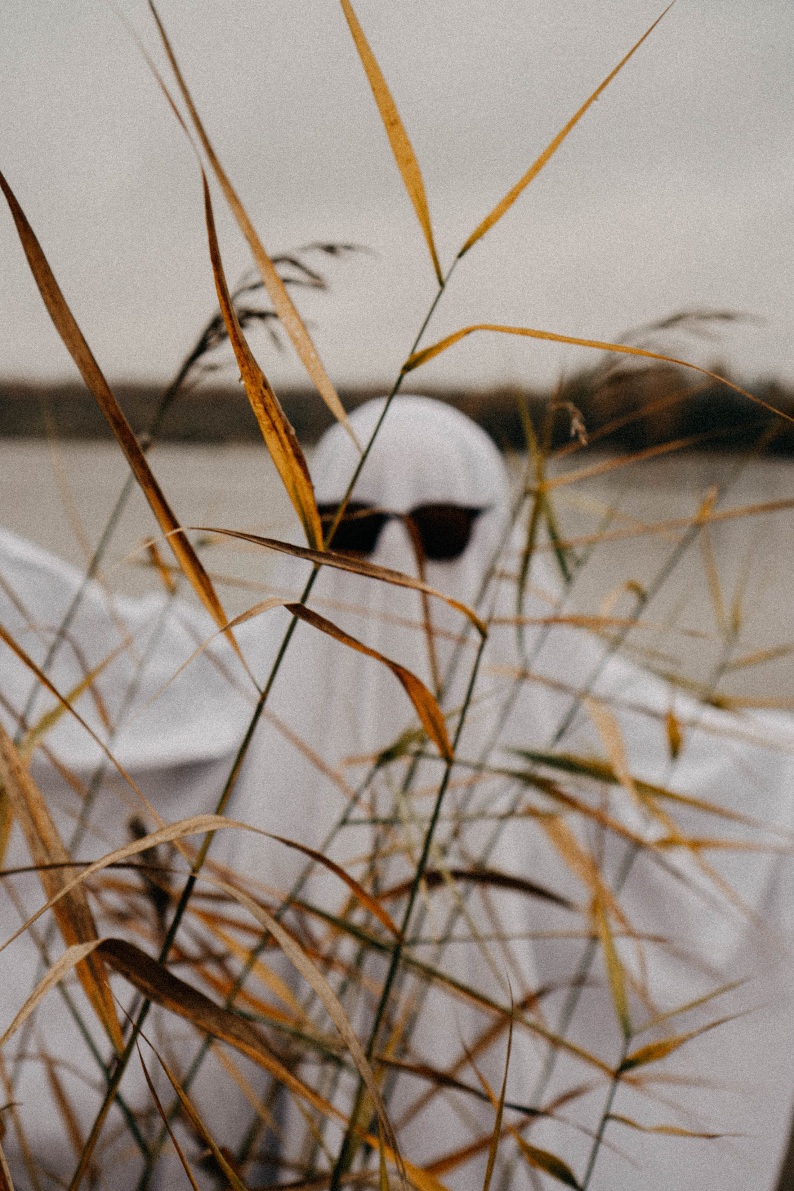 Осеняя. Профессиональный фотограф, Санкт-Петербург — Виктория Богомолова