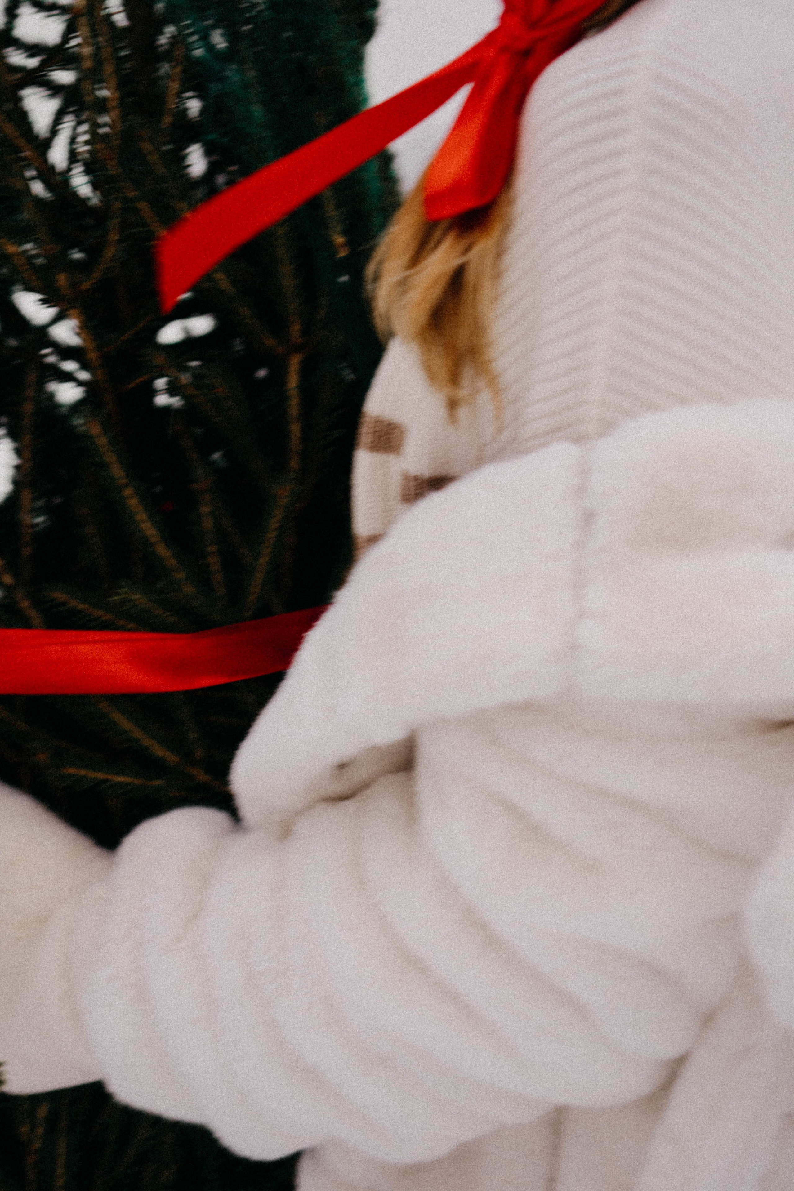 Новогодняя. Профессиональный фотограф, Санкт-Петербург — Виктория Богомолова