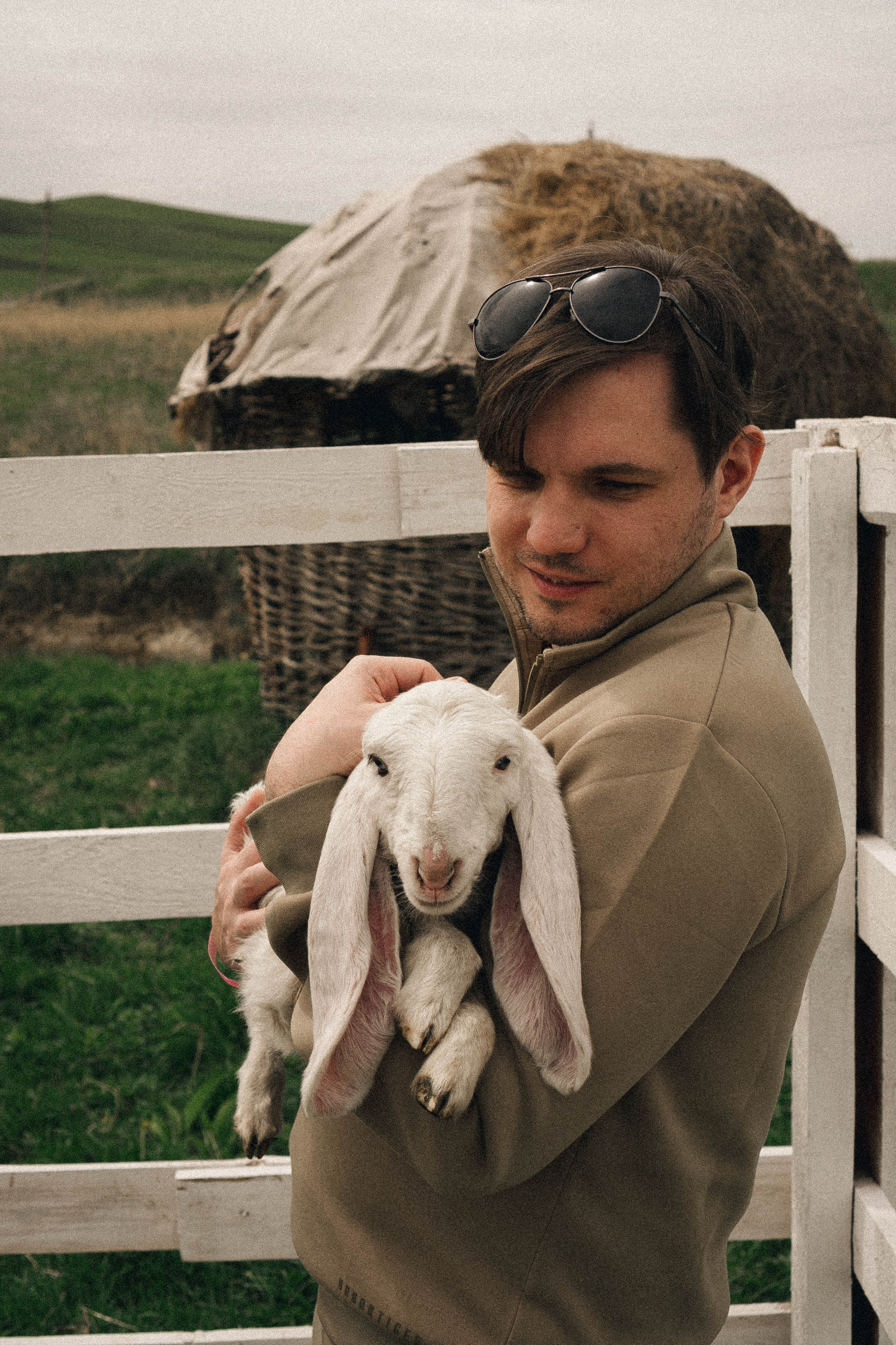 Ферма Альпак. Профессиональный фотограф, Санкт-Петербург — Виктория Богомолова