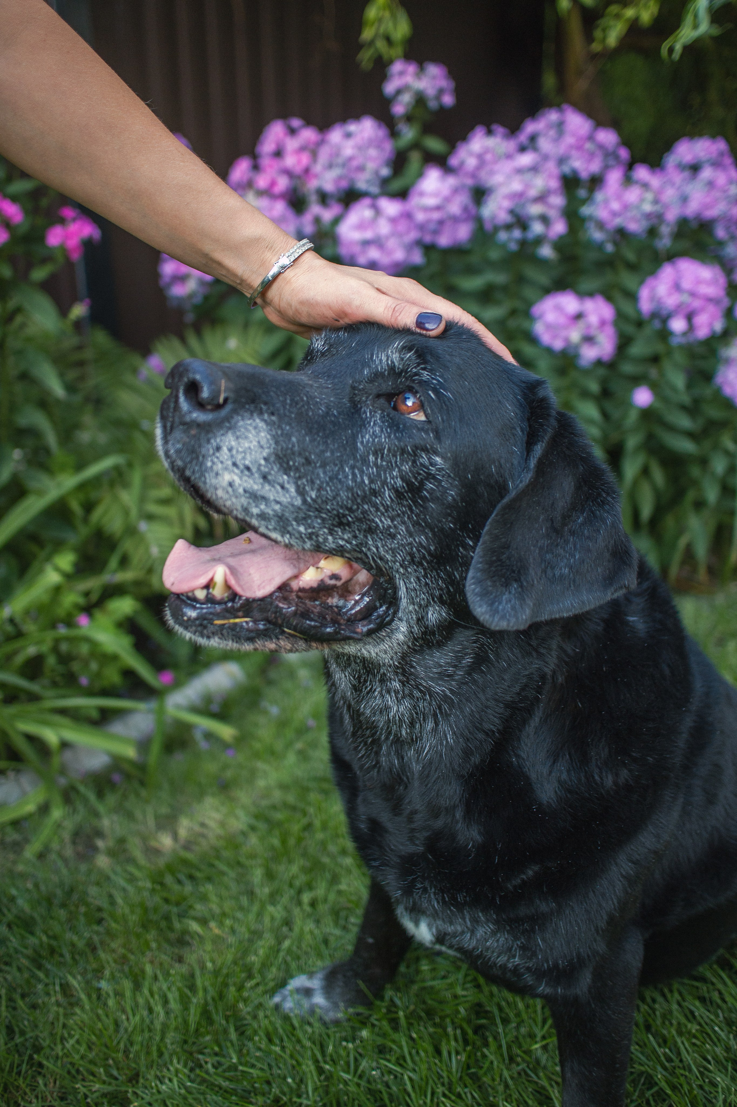 Выездная фотосъёмка. Фотограф в Алматы | Артюшенко Владислава
