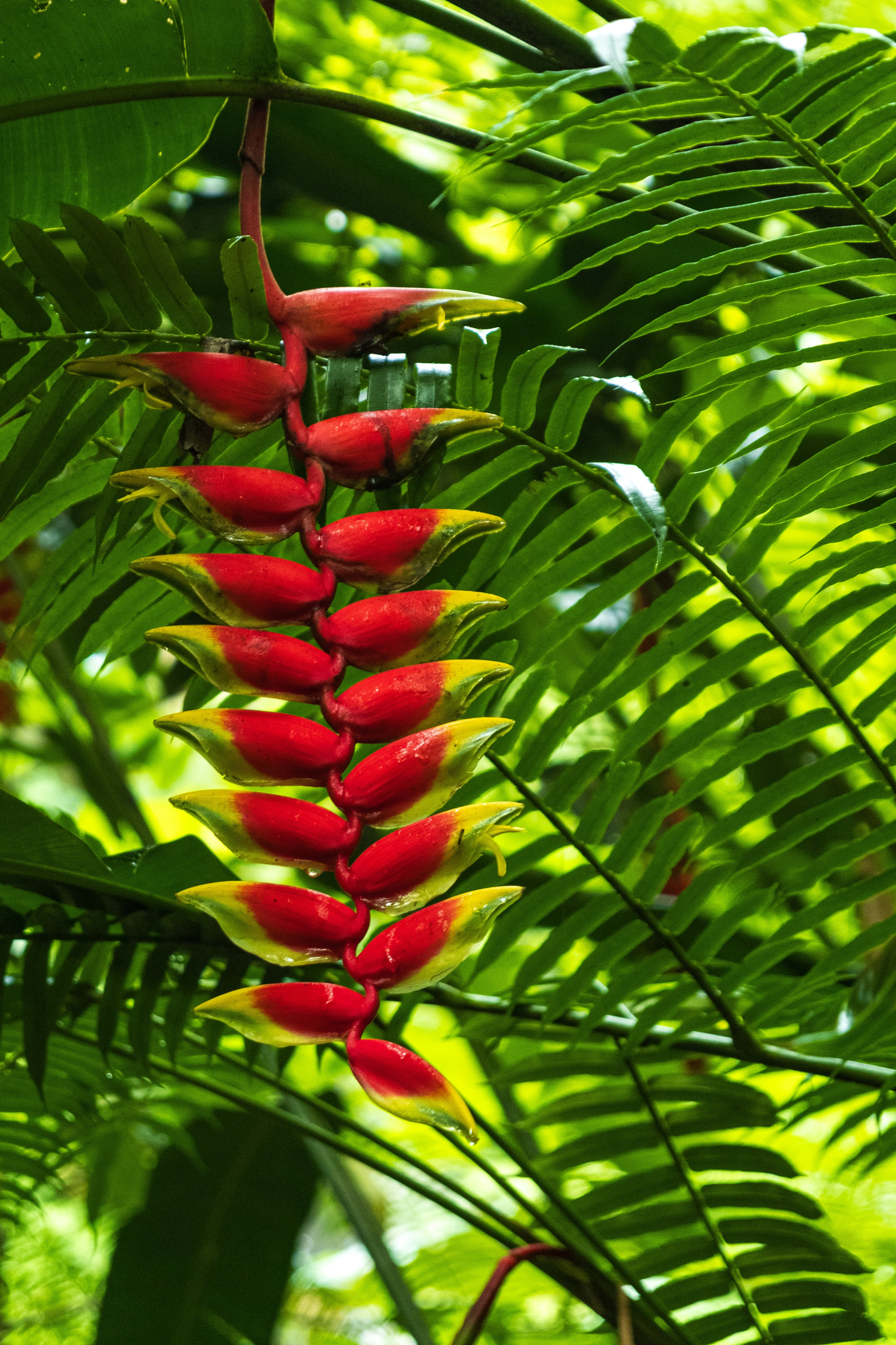 Остров Бали. Фотографии из путешествий