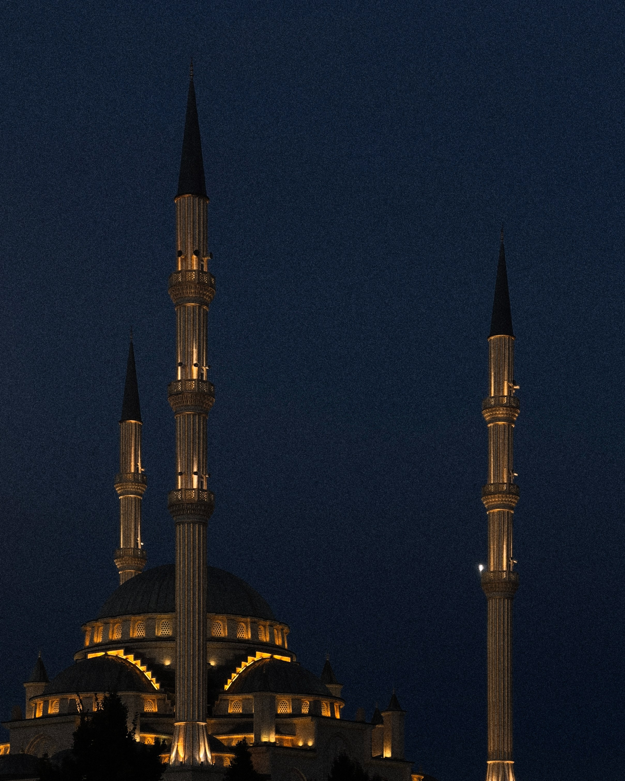 EKATERINA BOGDANOVA ─ PHOTOGRAPHER