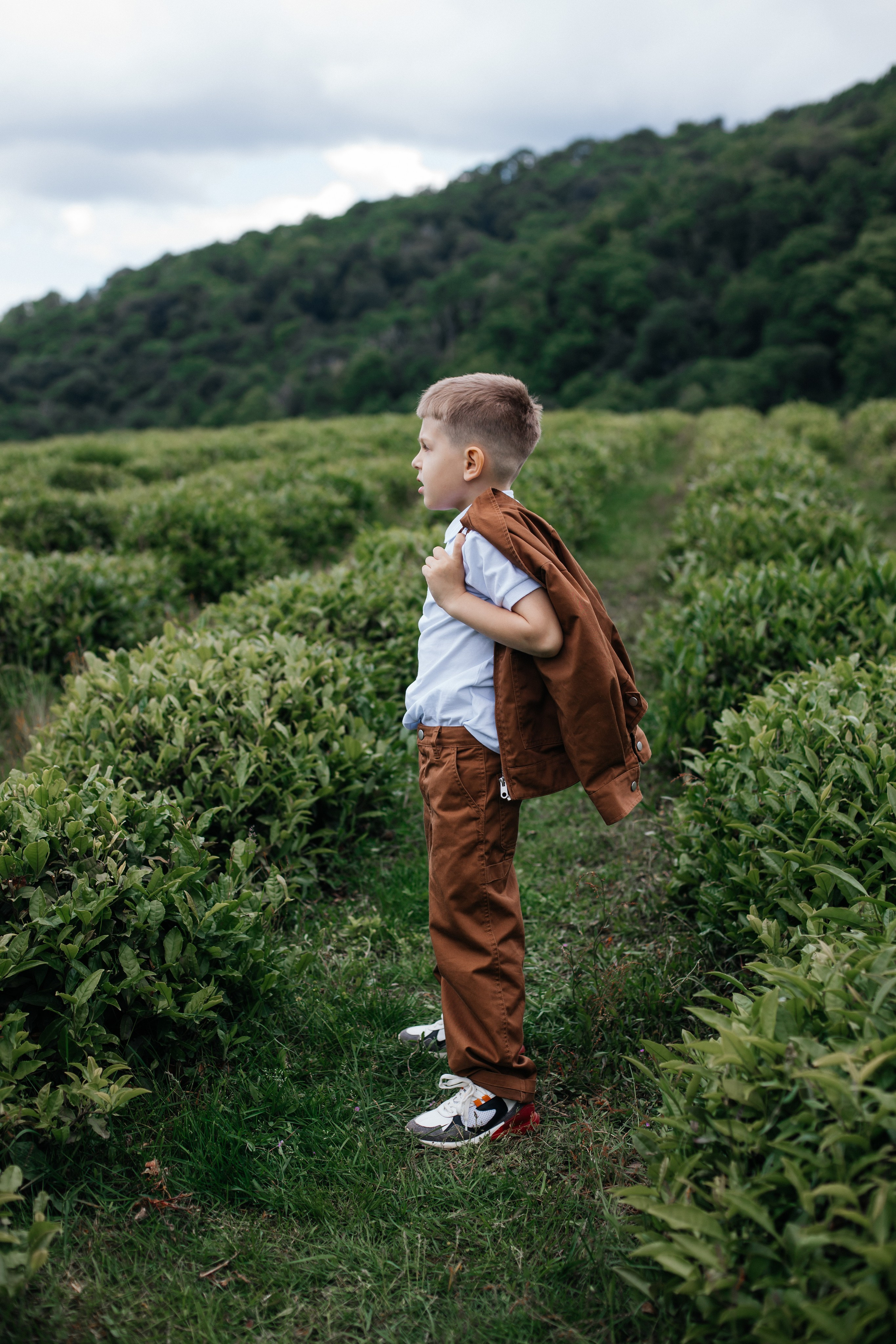 Tea plantation. Efimova Model Agency