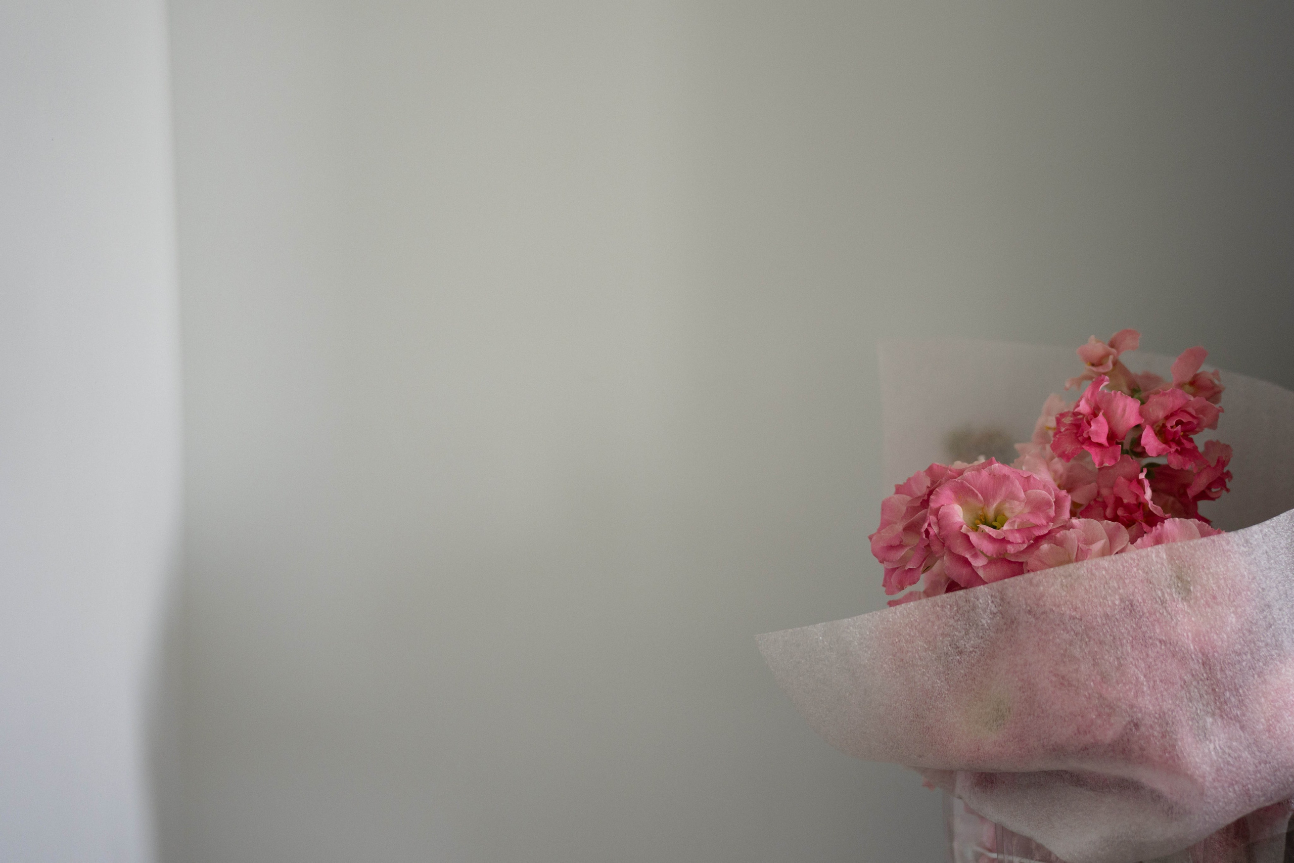 Четыре сезона. Фотограф в Санкт-Петербурге Александр Дымов