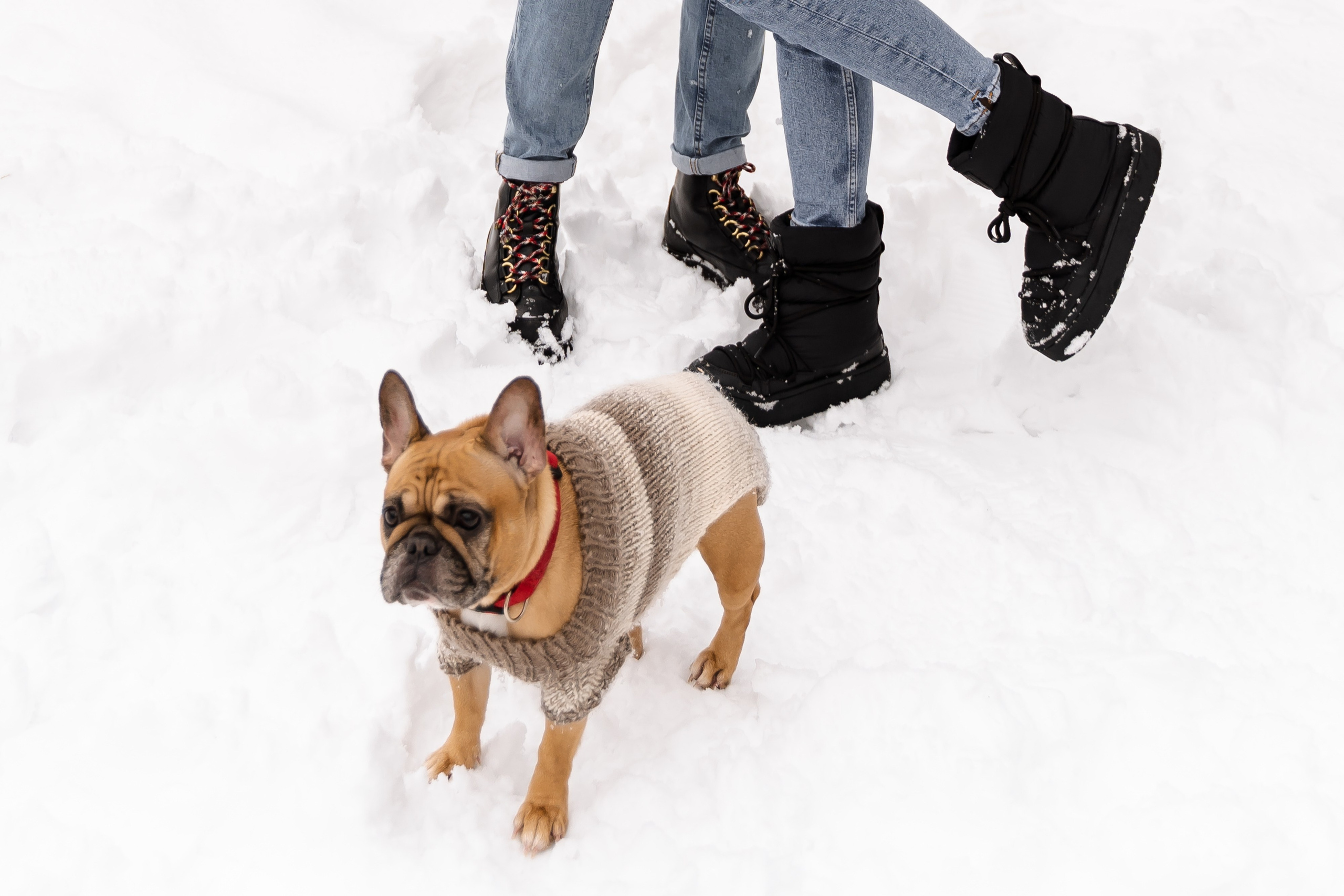 Варя и Влад. Свадебный фотограф в Москве Яна Деньгина