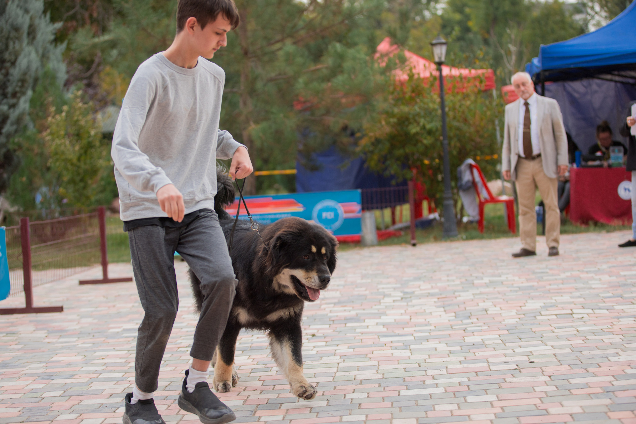 Ташкент 6-8.10.2023 + Алматы 14-15.10.2023. Фотограф-анималист Юлия Германика