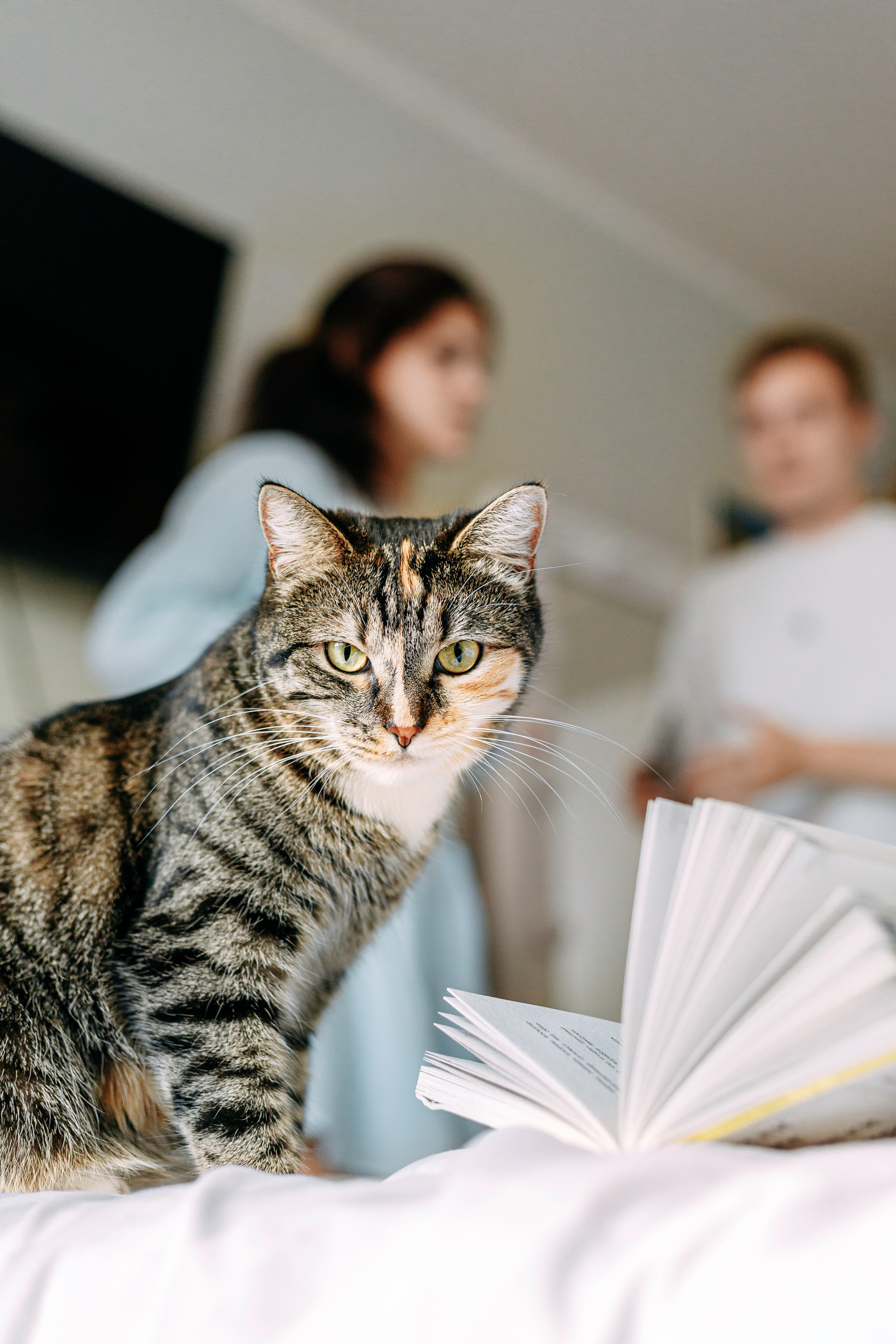 ИРА, САША И 5 КОШЕК