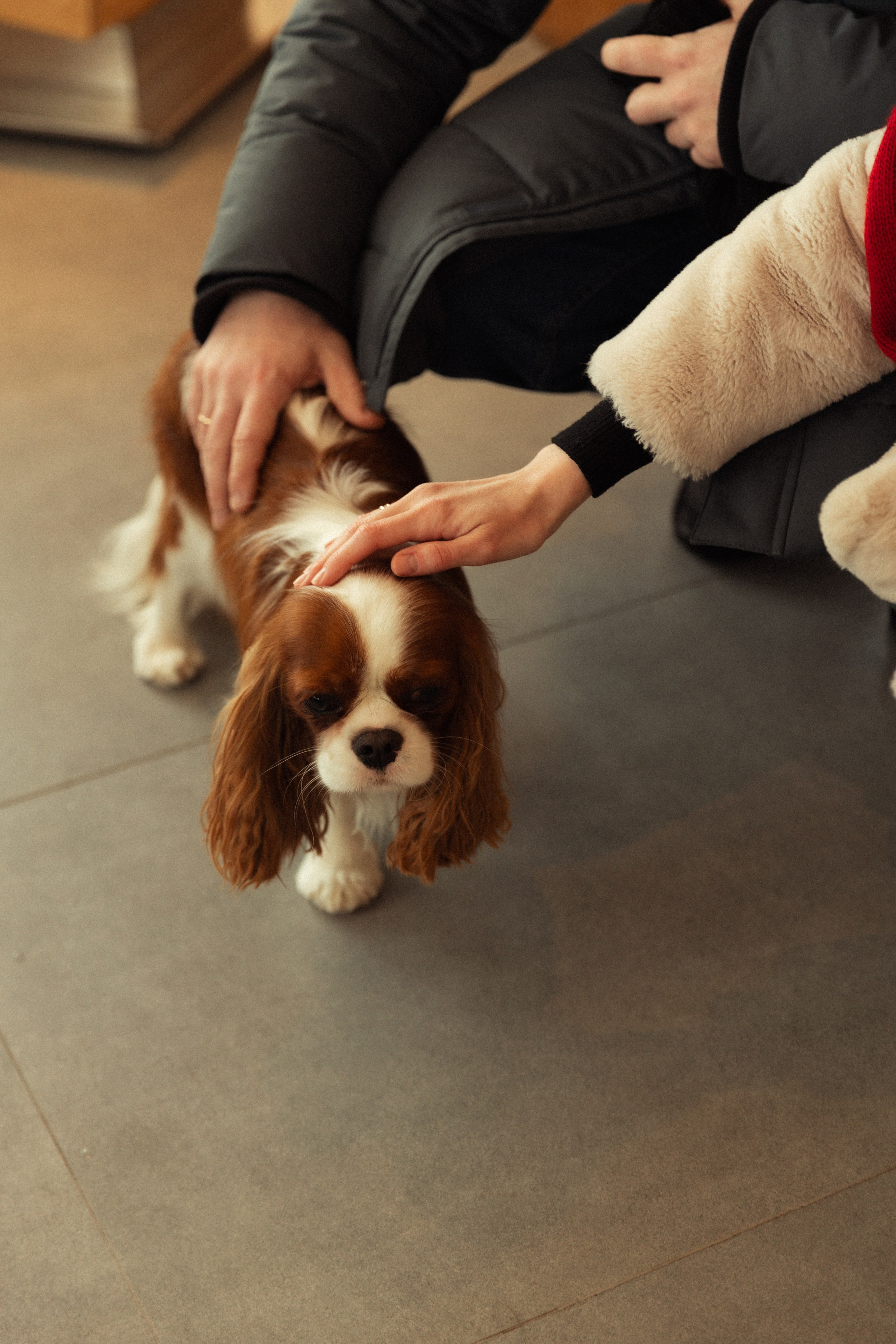 Лиза и Данила. Фотограф в Нижнем Новгороде Воробьева Анжела