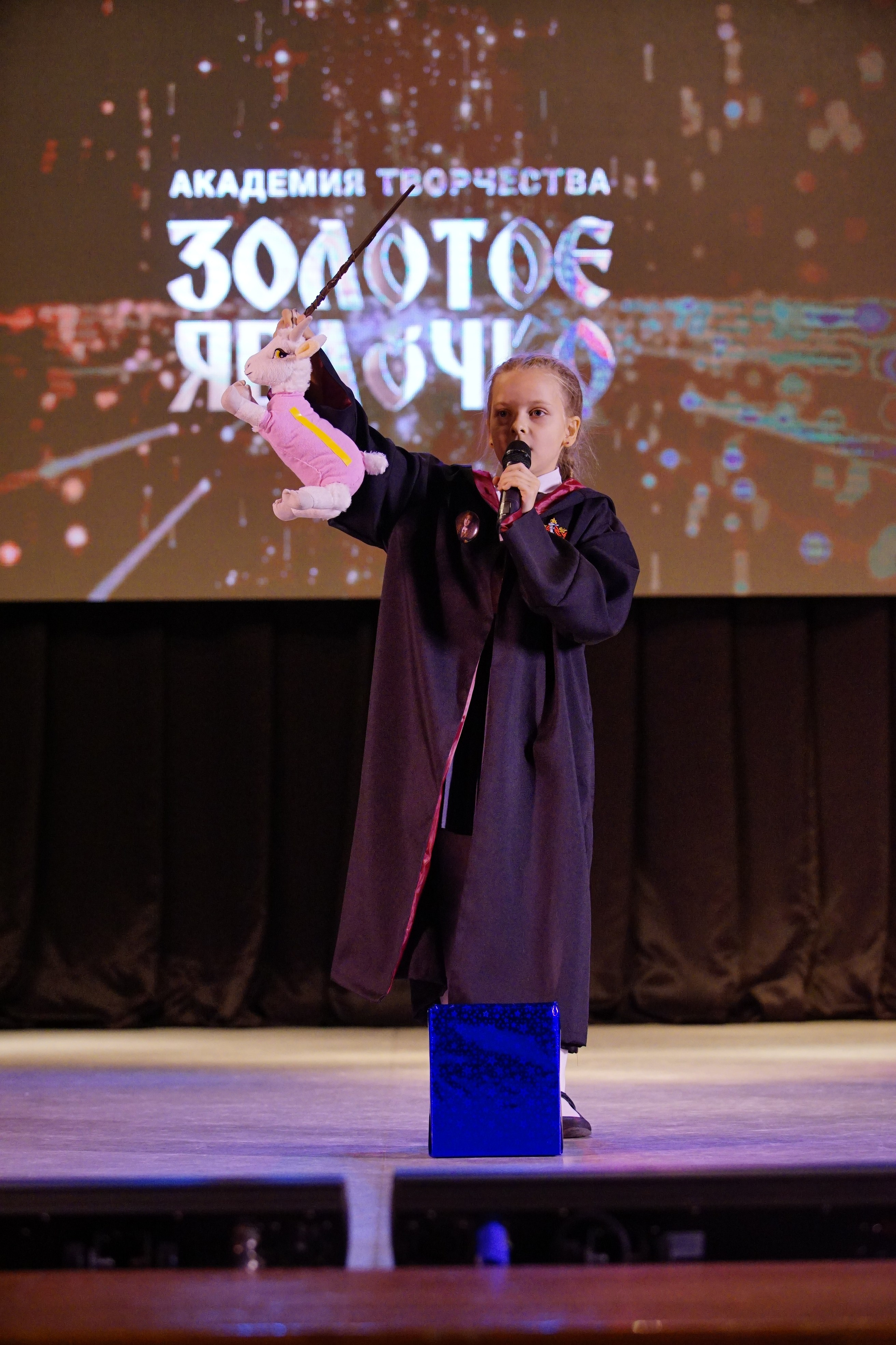 17 ноября, г. Новосибирск. Золотое яблочко