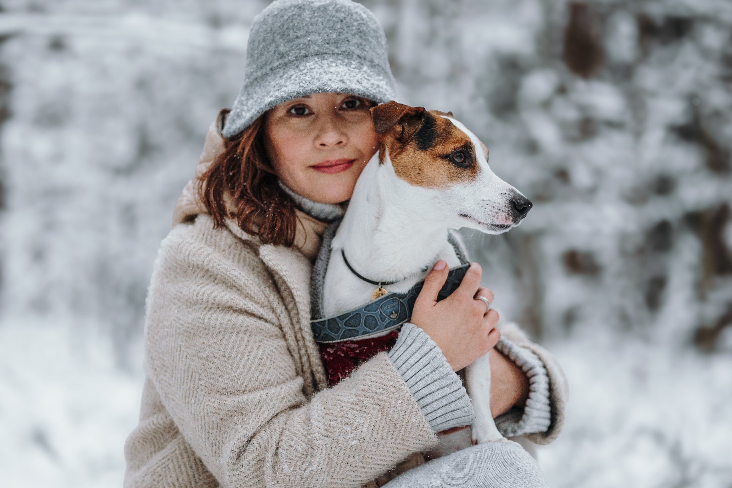 Мики и его семья. Фотограф — Анималист | Санкт-Петербург