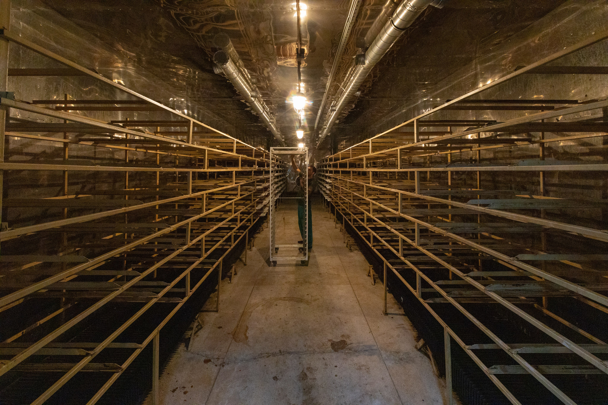 Поездка в Белев и на производство пастилы. Фотограф в Туле Крупский АнДРей. Фотостудия «КАДР71» в Туле