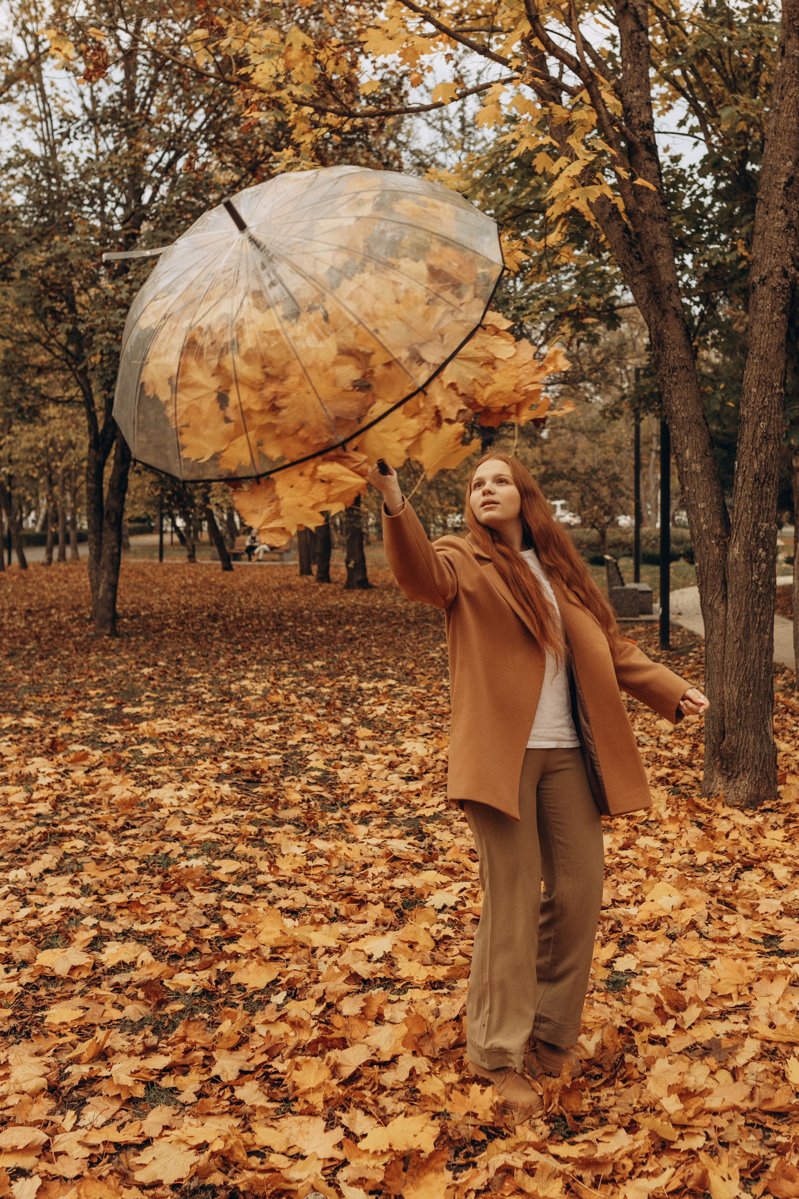 Золотая осень. Индивидуальная съёмка. Фотограф в Ставрополе Svetlana Matveeva