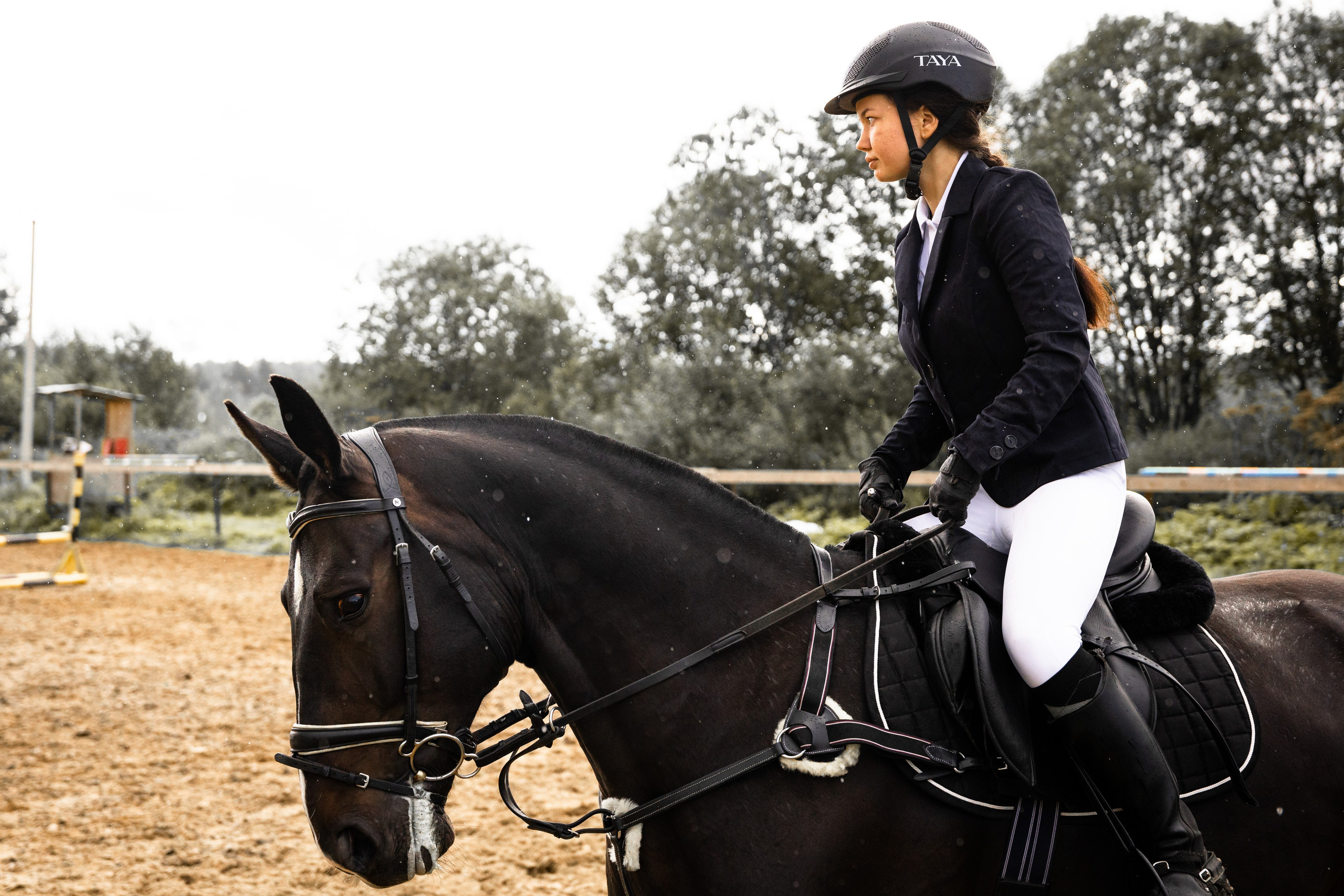 Соревнования. The EVL gallery