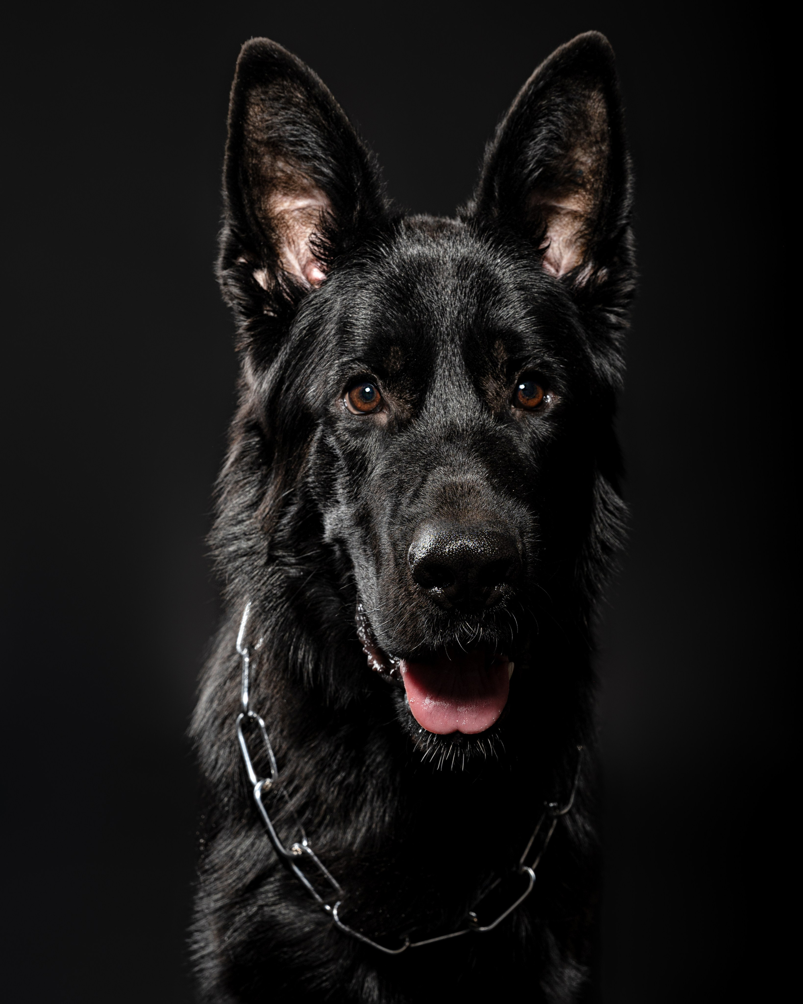 Студийные съемки. Портретный фотограф в Челябинске Катерина Руди