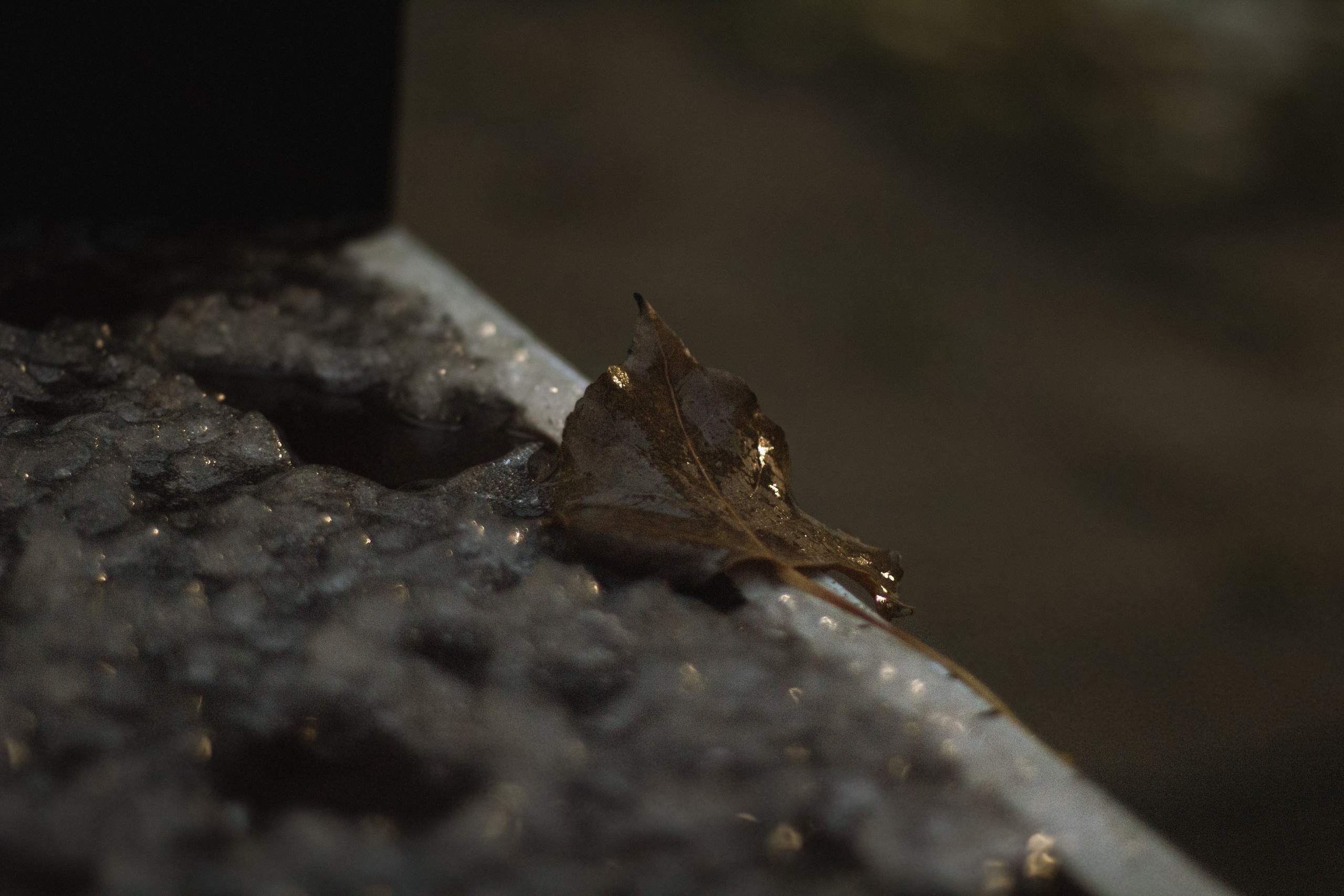 Осень-зима. Фотограф Москва, портрет, стрит, репортаж. Художественная фотосессия