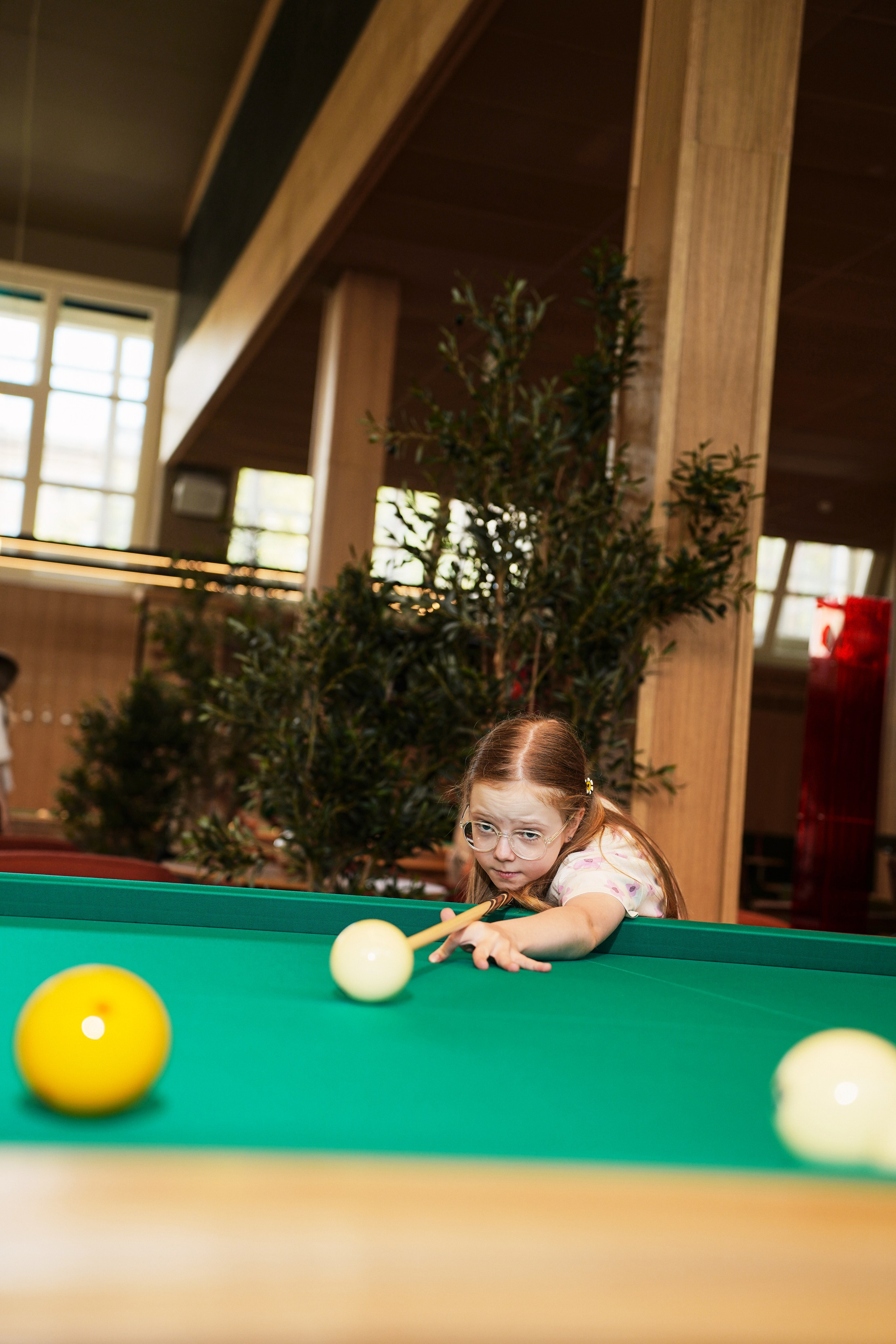 Бильярд Родина. Фотограф