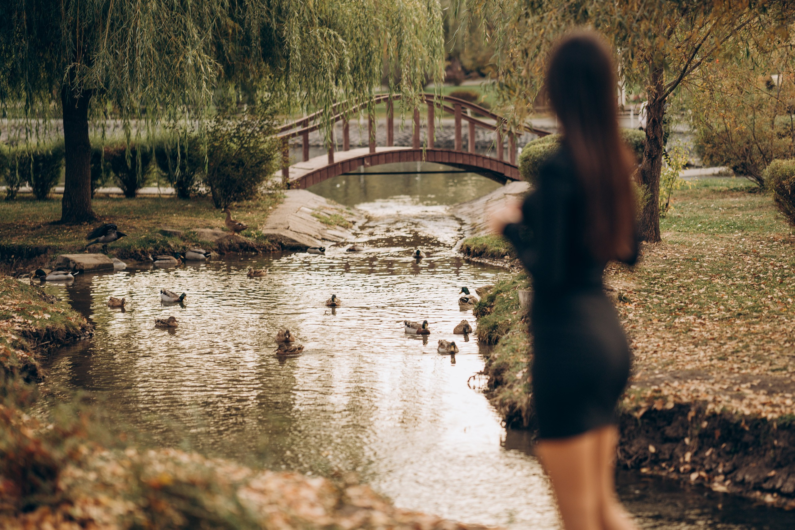 Оксана. Осенний фотосет