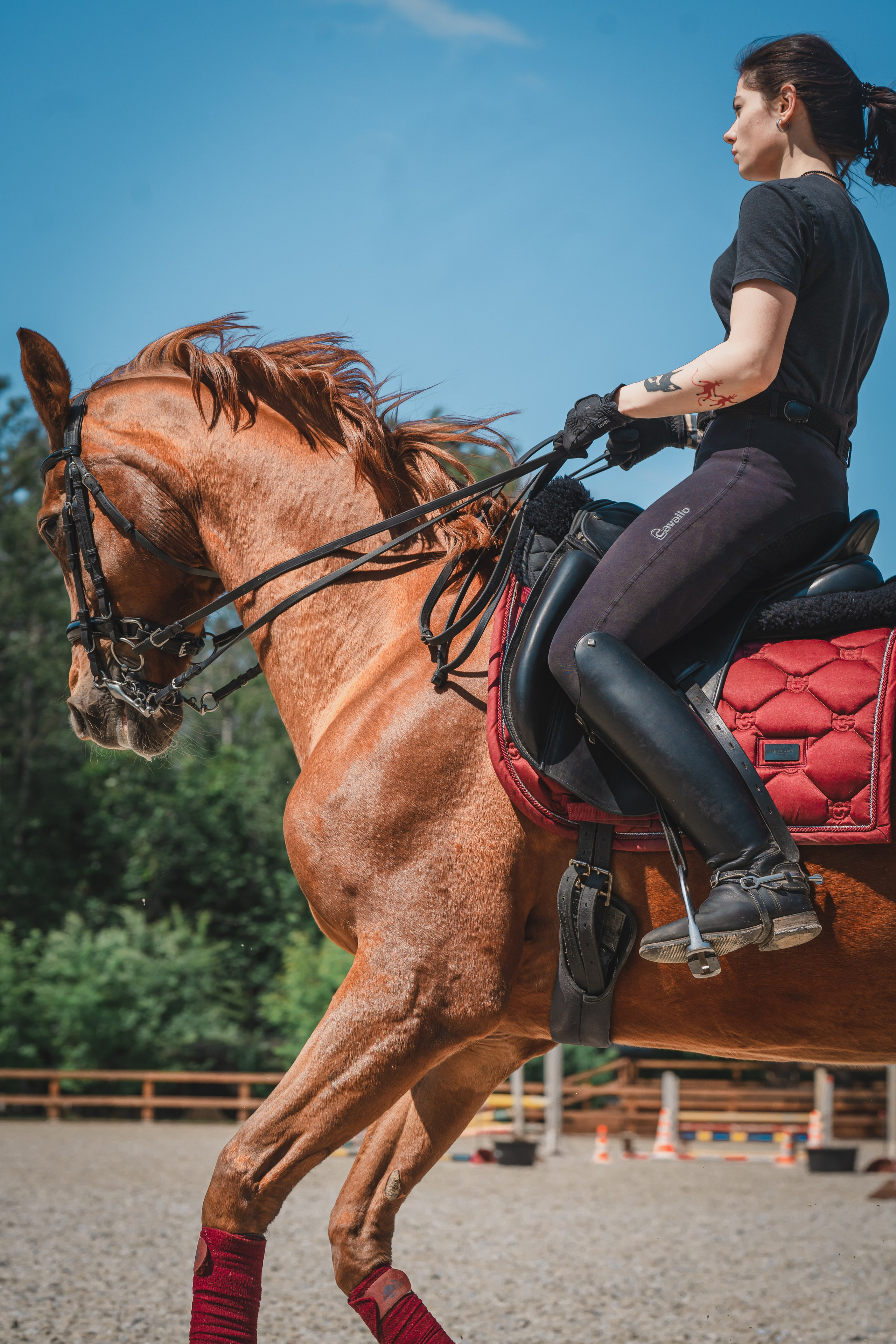Валерия и Ланселот. Тренировка по выездке. КСК «Урожай». Фотограф в Москве Ленарская Дарья