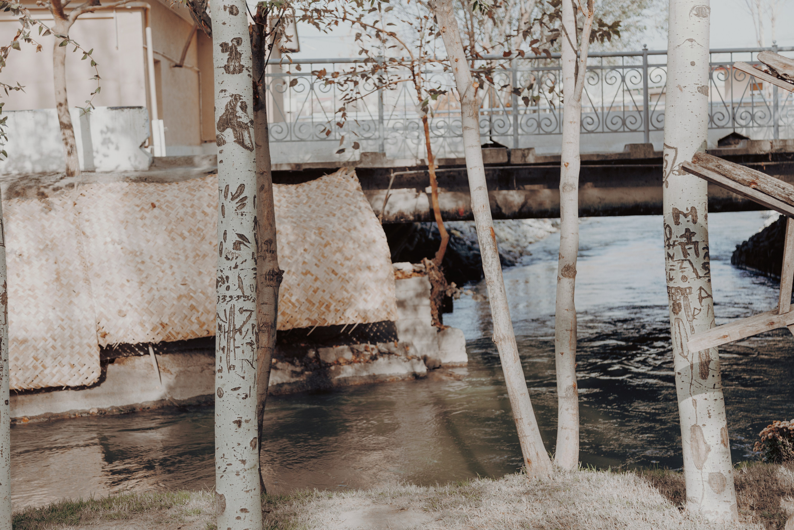 Узбекистан. Креатор Ольга Яш