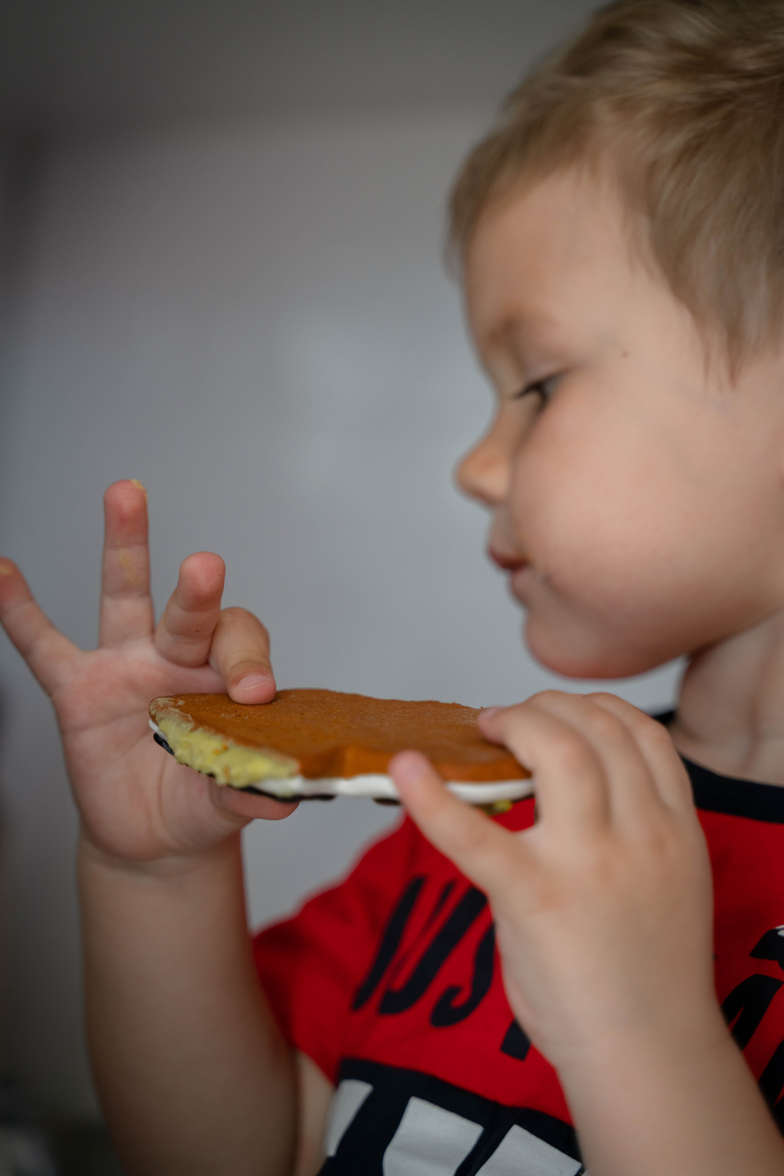 Детский День Рождения дома. ALISON FILMS