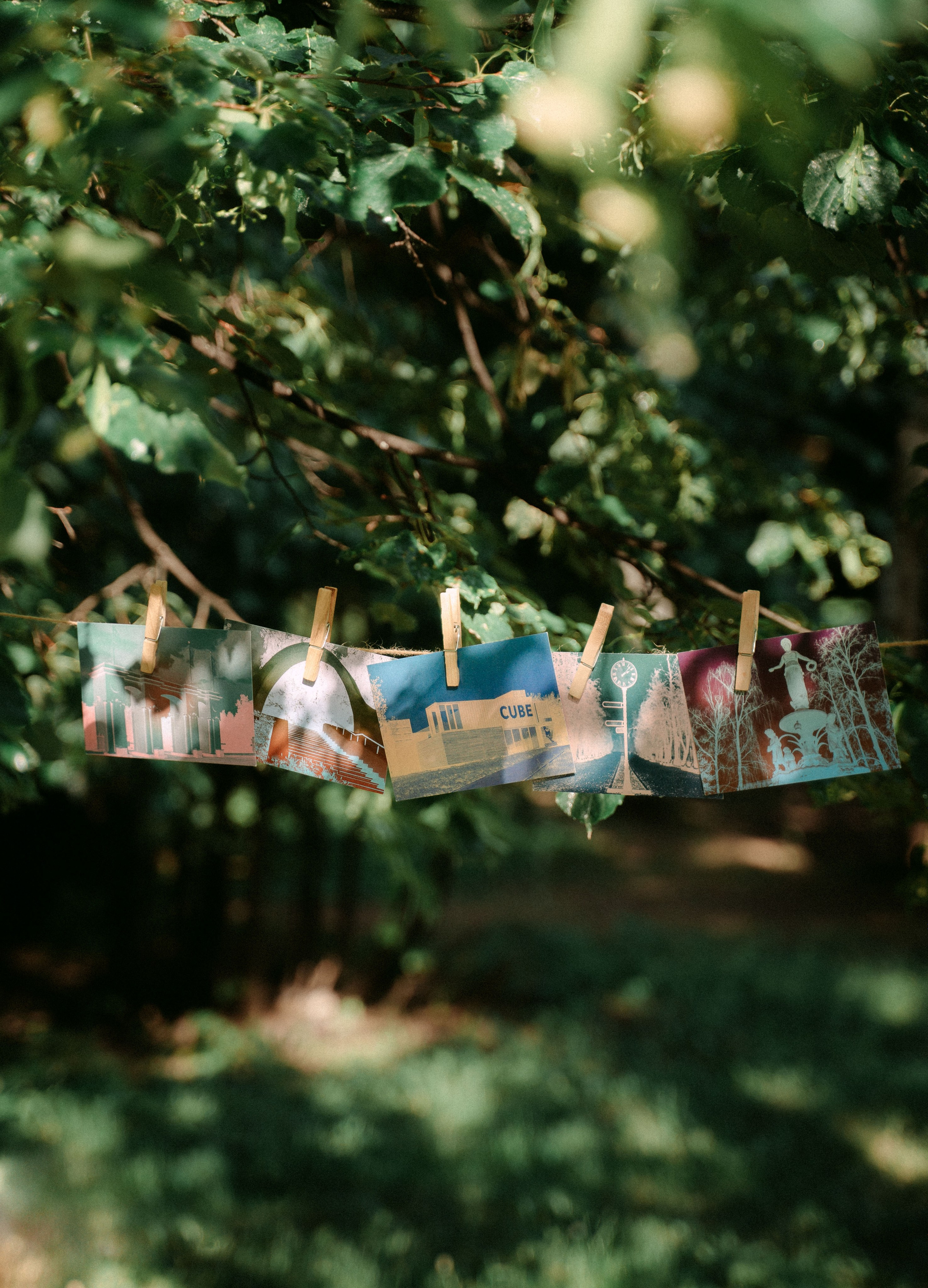 «Парки рядом» / мерч дирекции парков и скверов РТ. Саша Копылов, фотограф в Казани