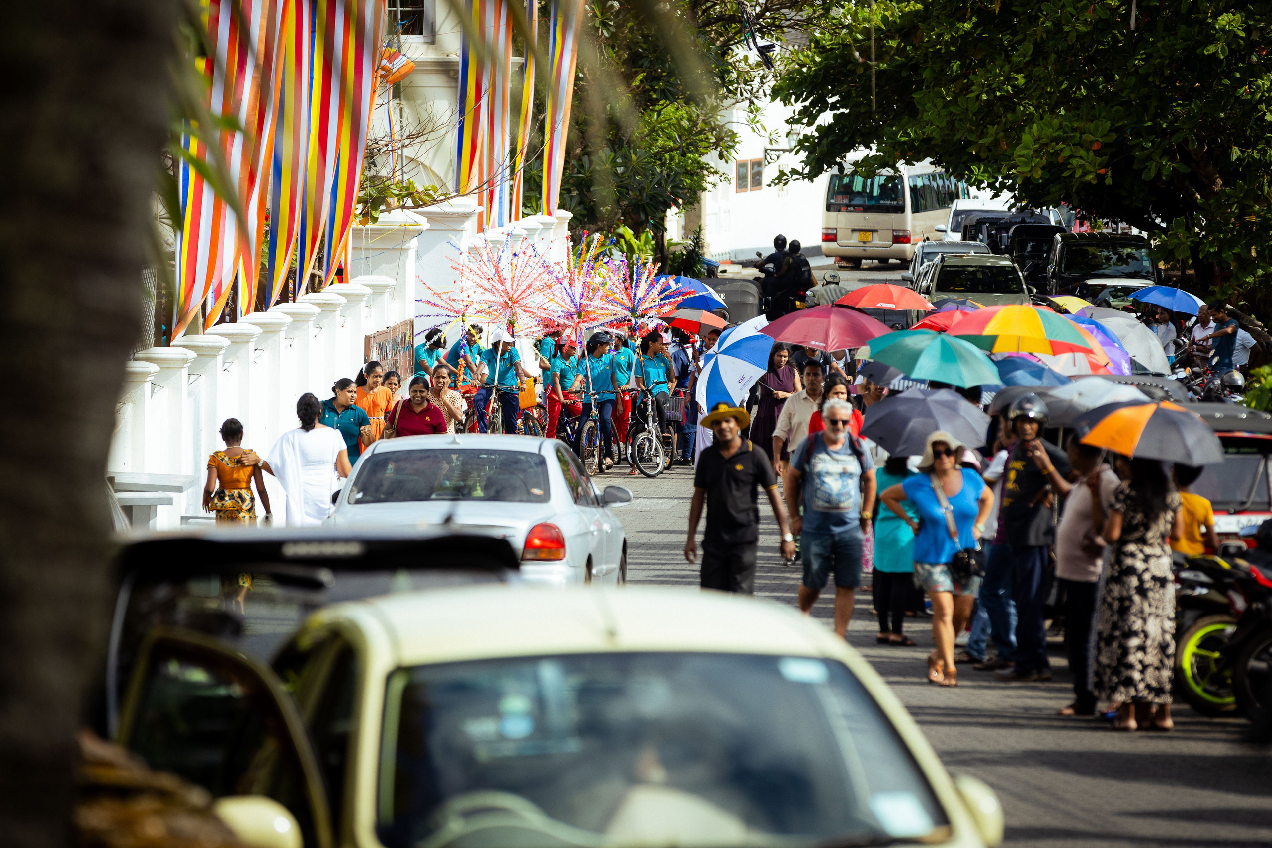 Шри-Ланка (весна 2024). Фотограф Виноградов Константин