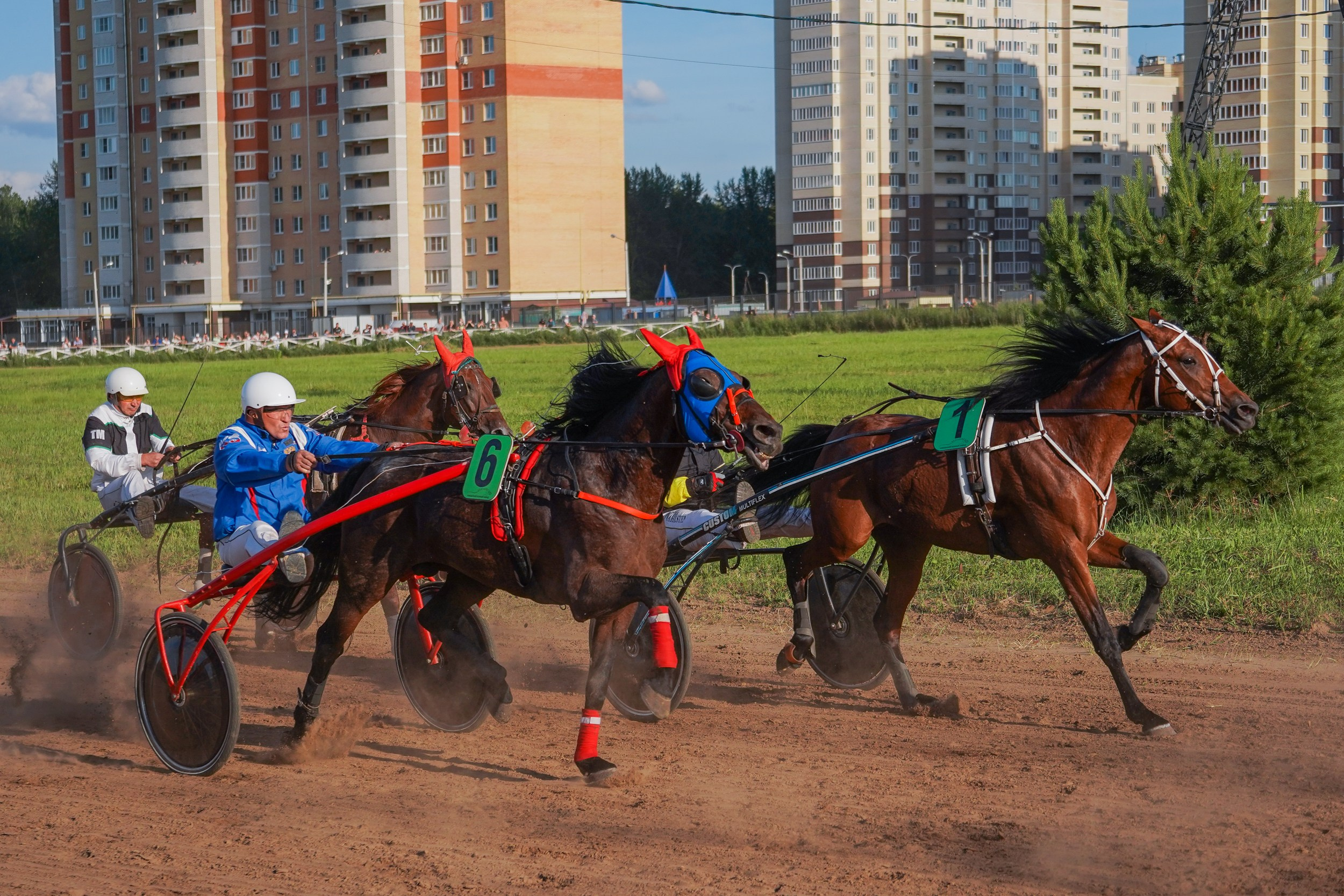 III конные бега на Кубок Главы Чувашии. Фотограф-анималист, портретный фотограф в Чебоксарах Мария Садыкова