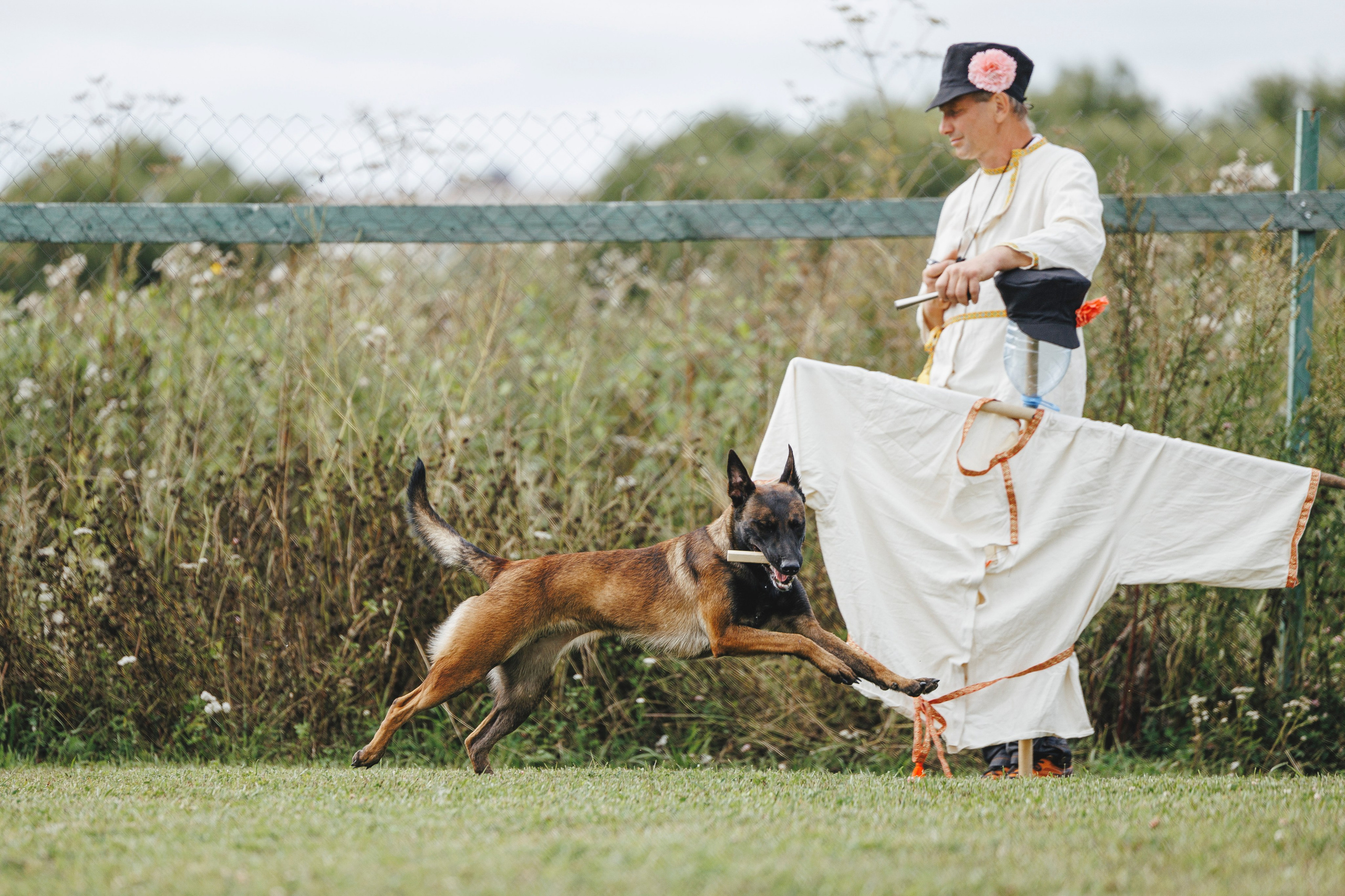 08.08.25-10.08.25 ЧР по мондьорингу г. Вологда. Фотограф-анималист Анна Маринич