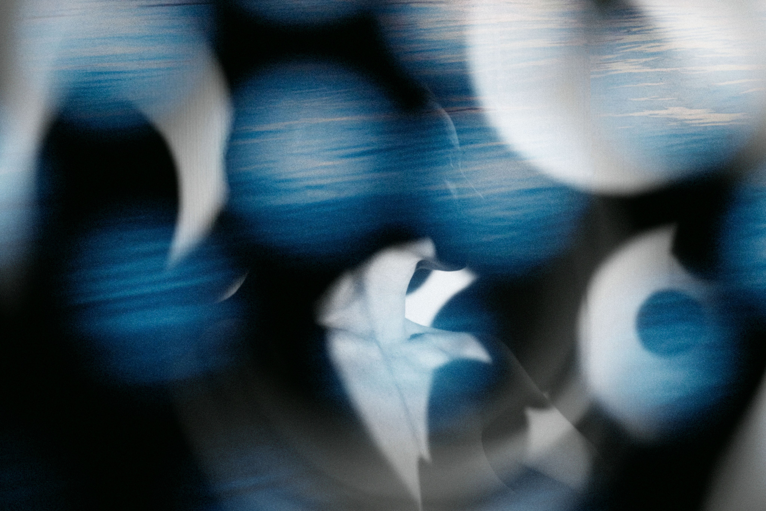 ALENA GORBACHEVA | VISUAL ARTIST