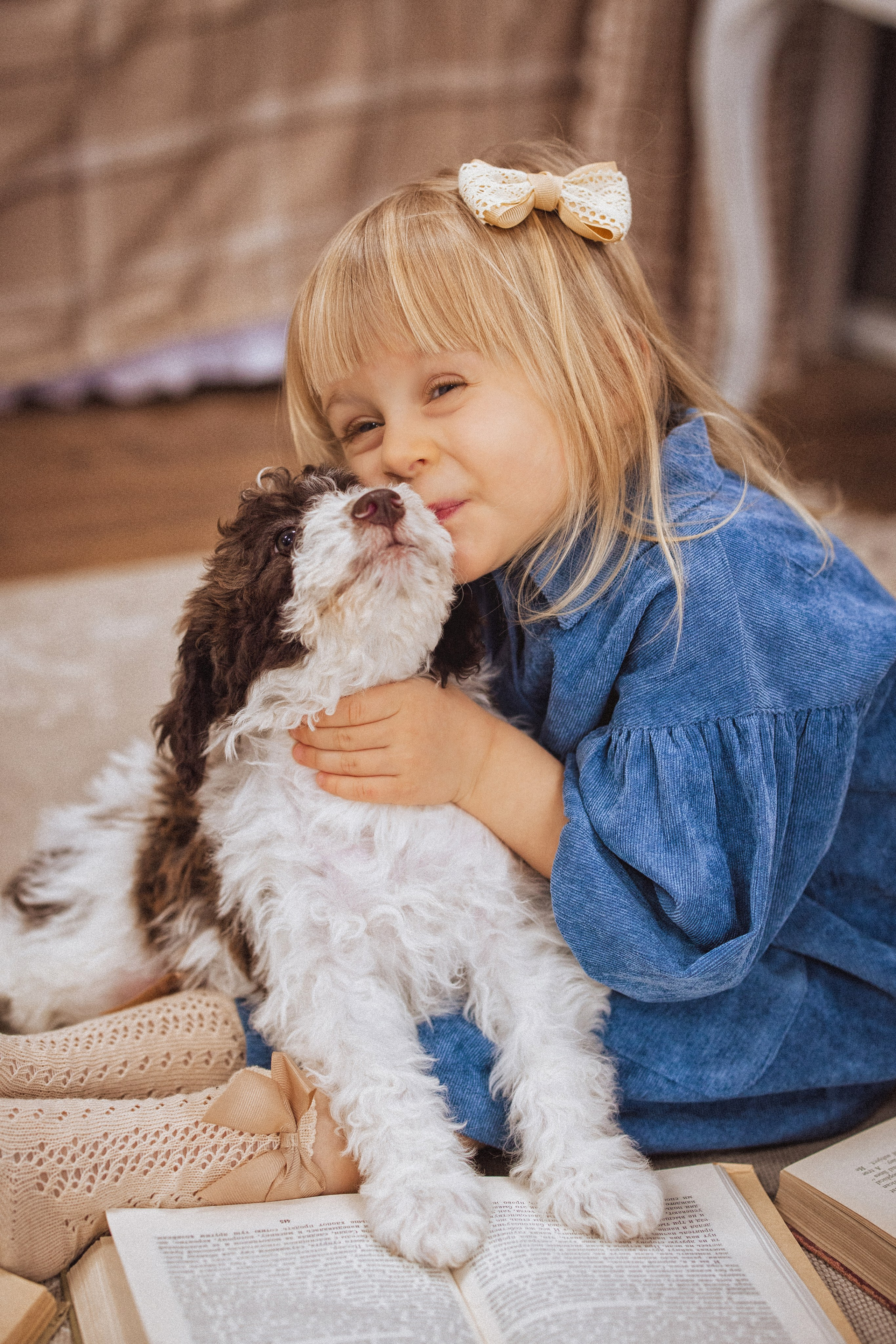 Фотосессия с щенками Лаго́тто-романьо́ло, в Винтажной фотостудии город Краснодар. Семейный и детский фотограф в Краснодаре Анна Трашкова
