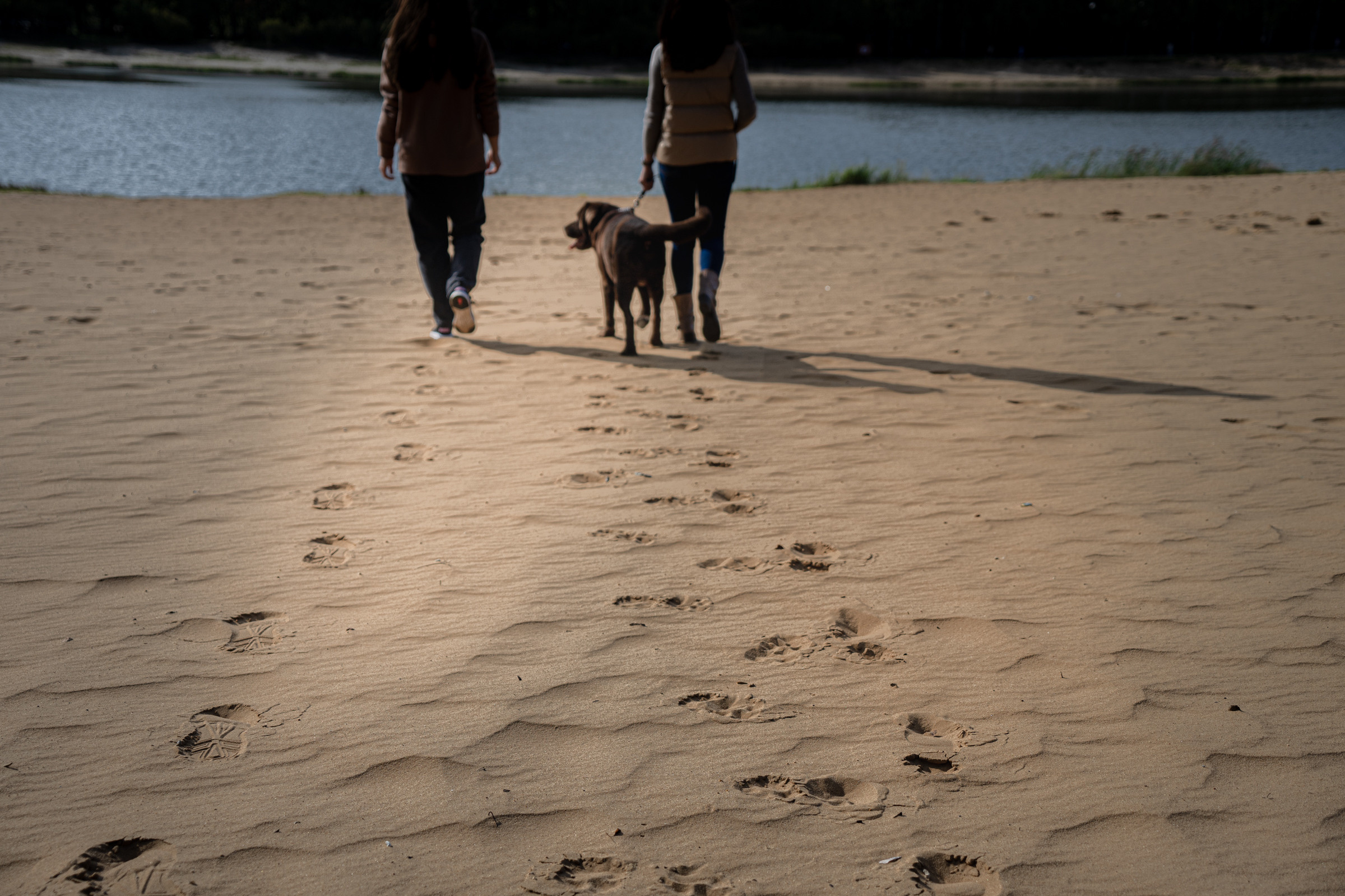 Виктория и Анна. Фотограф Скворцов Дмитрий, Балашиха. Портреты, семейные съёмки