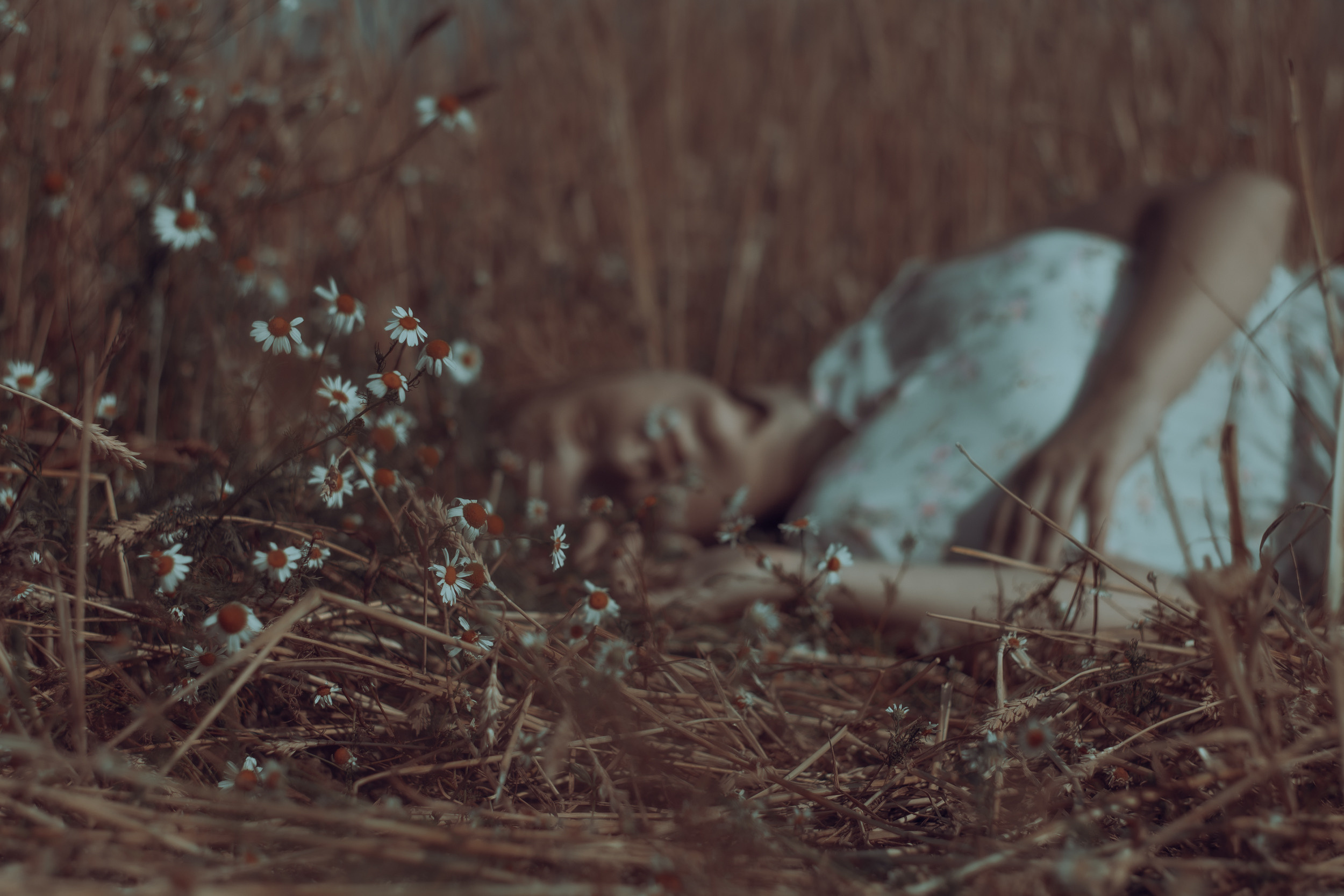 Настя. Фотограф Скворцов Дмитрий, Балашиха. Портреты, семейные съёмки