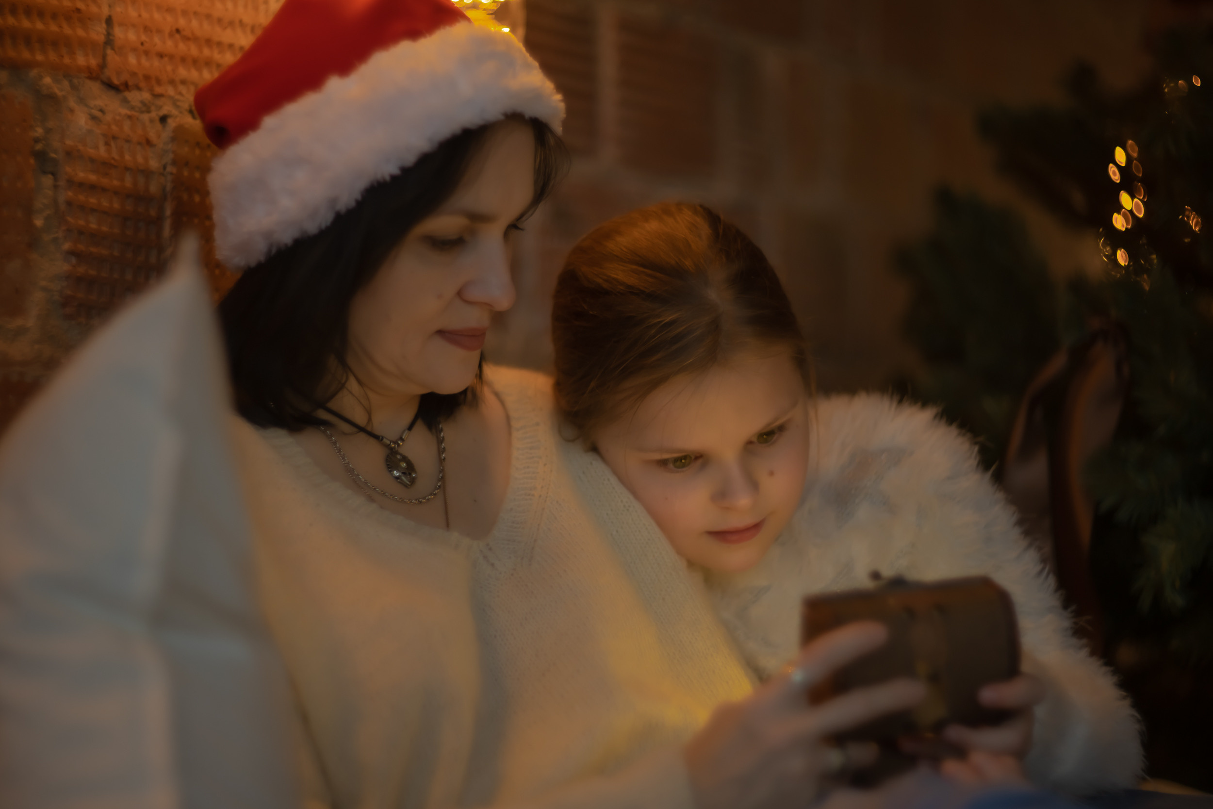 Новый Год. Фотограф Скворцов Дмитрий, Балашиха. Портреты, семейные съёмки