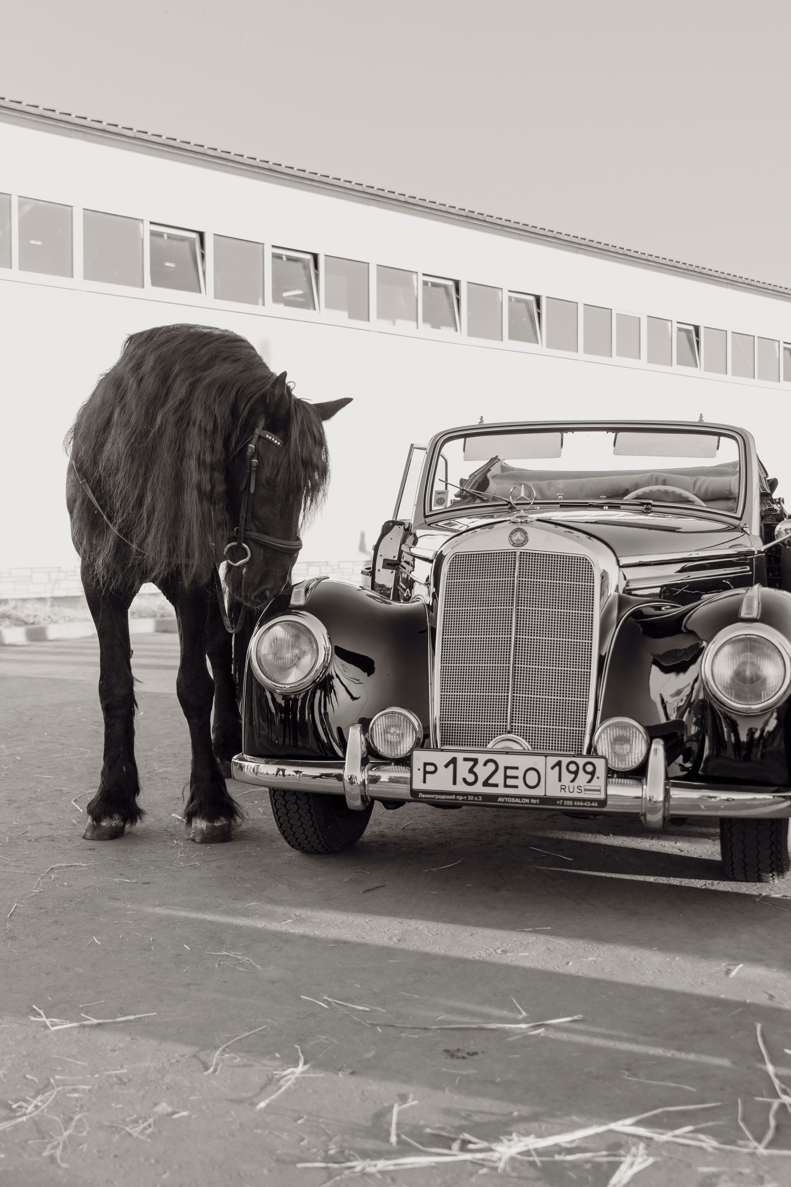 Аукцион. Фотограф Москва Софа Ревчук