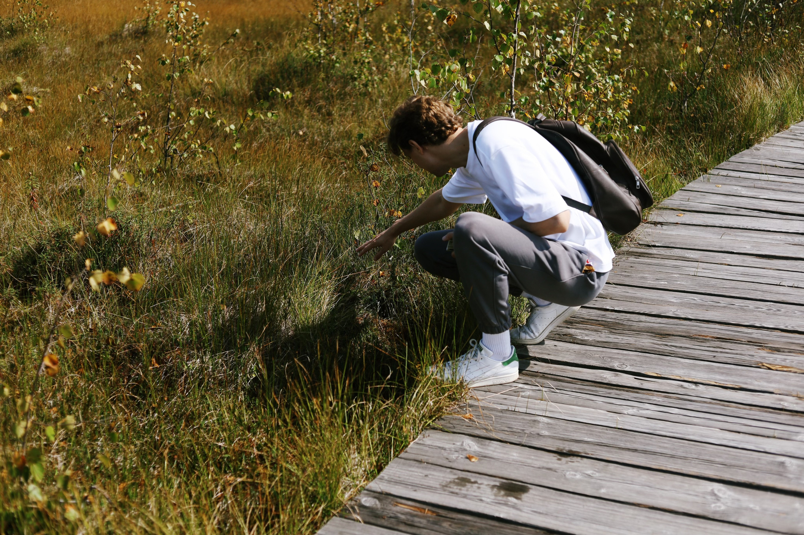 Лето 2024 / домики. 1642 — первый лагерь для взрослых на Байкале